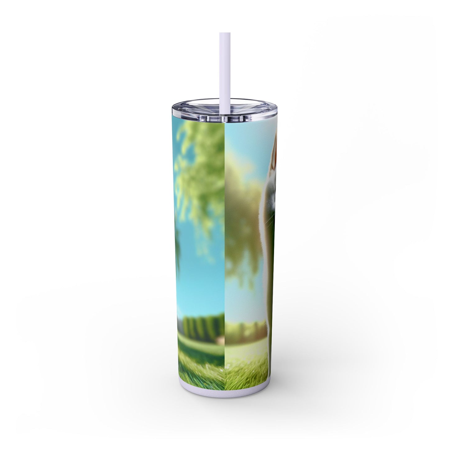 Kishu Ken Tumbler with Straw, 20oz
