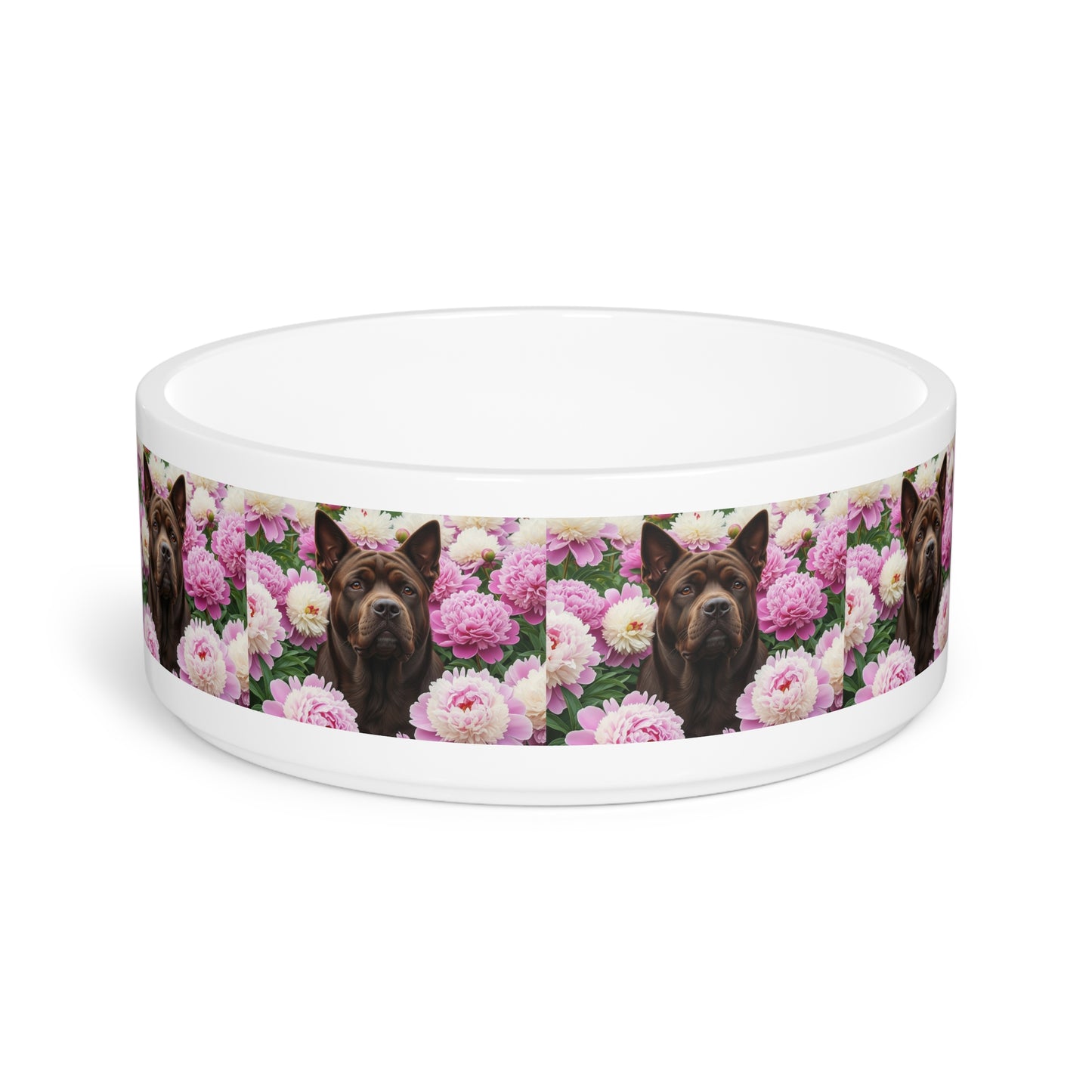 Chinese Chongqing Pet Bowl