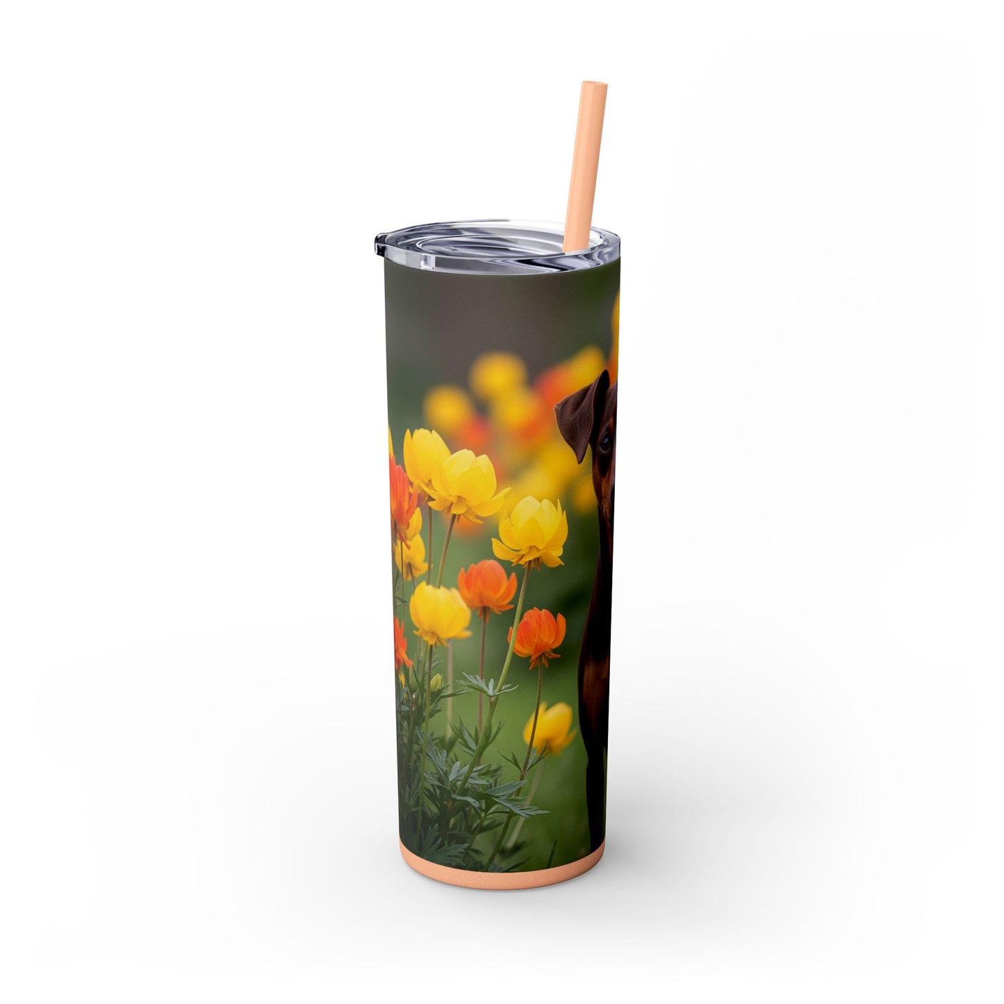 Miniature Pinscher Skinny Tumbler with Straw, 20oz