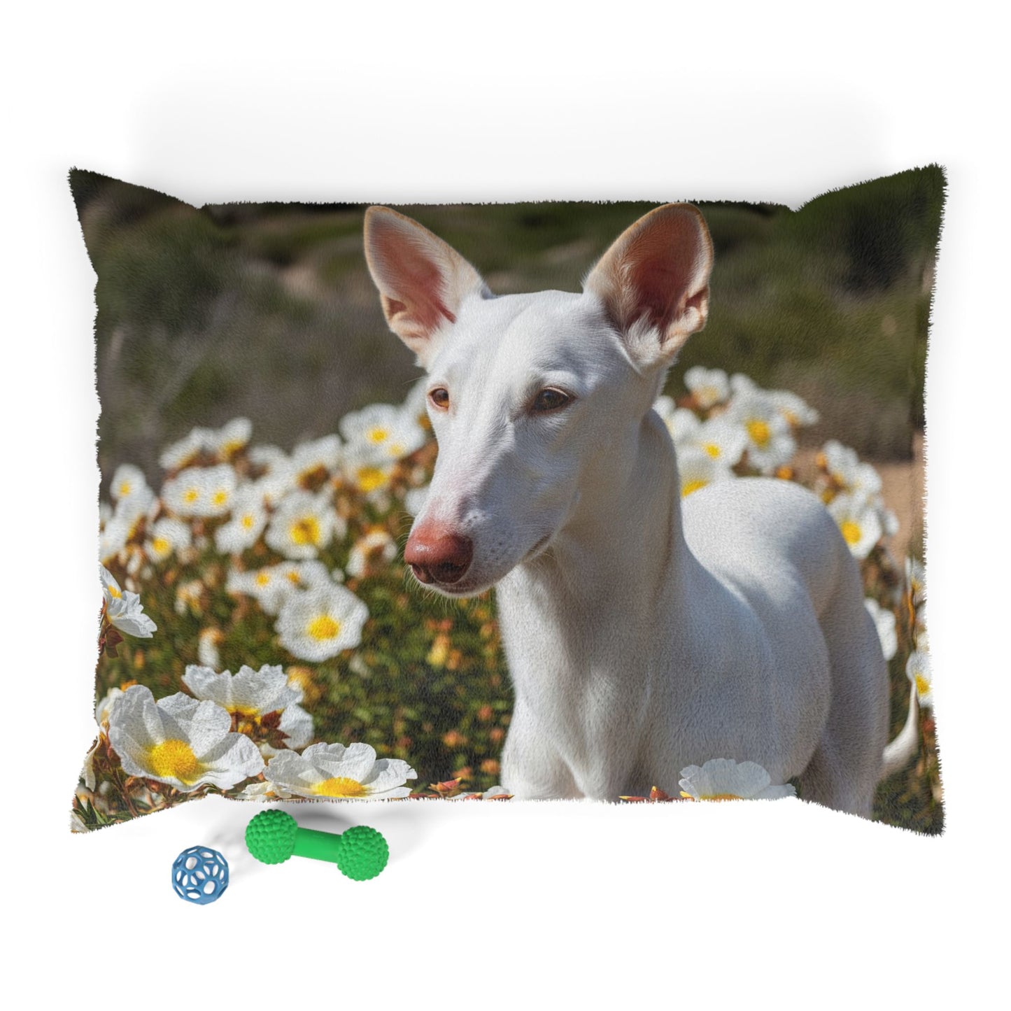 Ibizan Hound Pet Bed