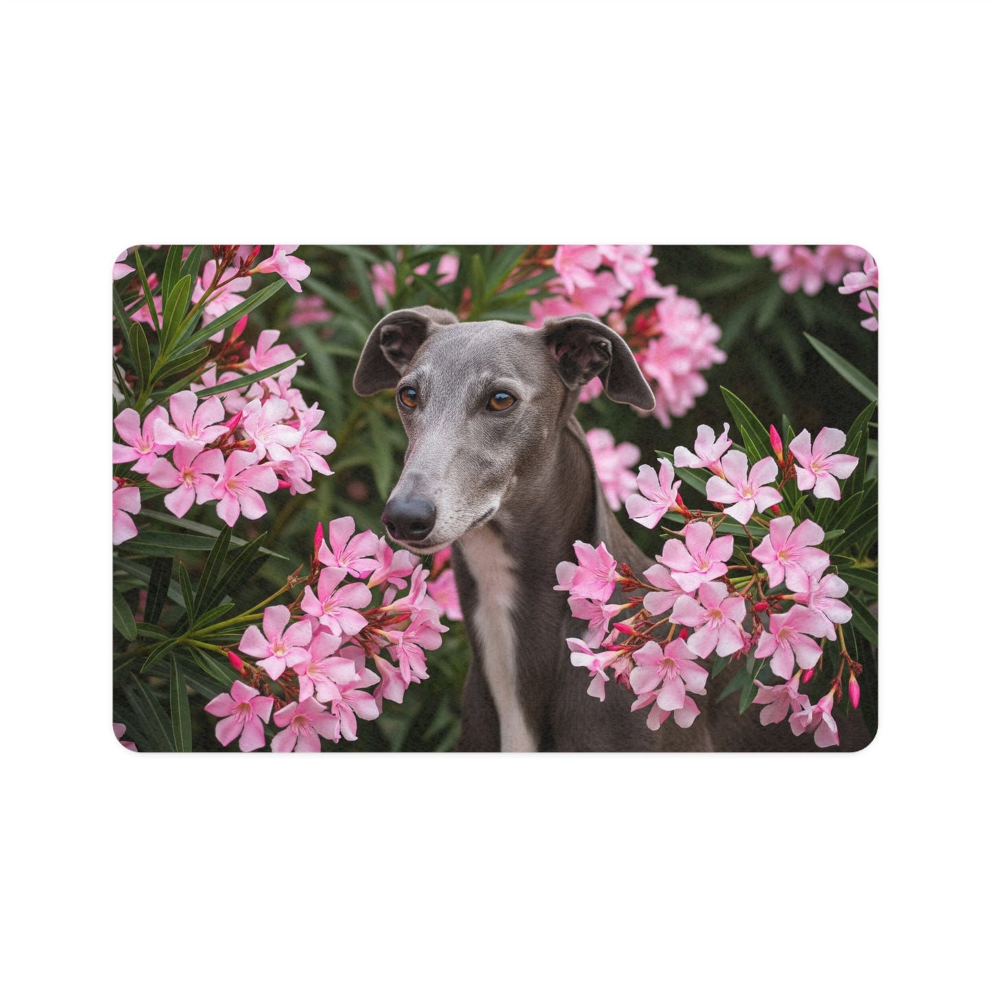 Pet Food Mat (12x18) - Greyhound