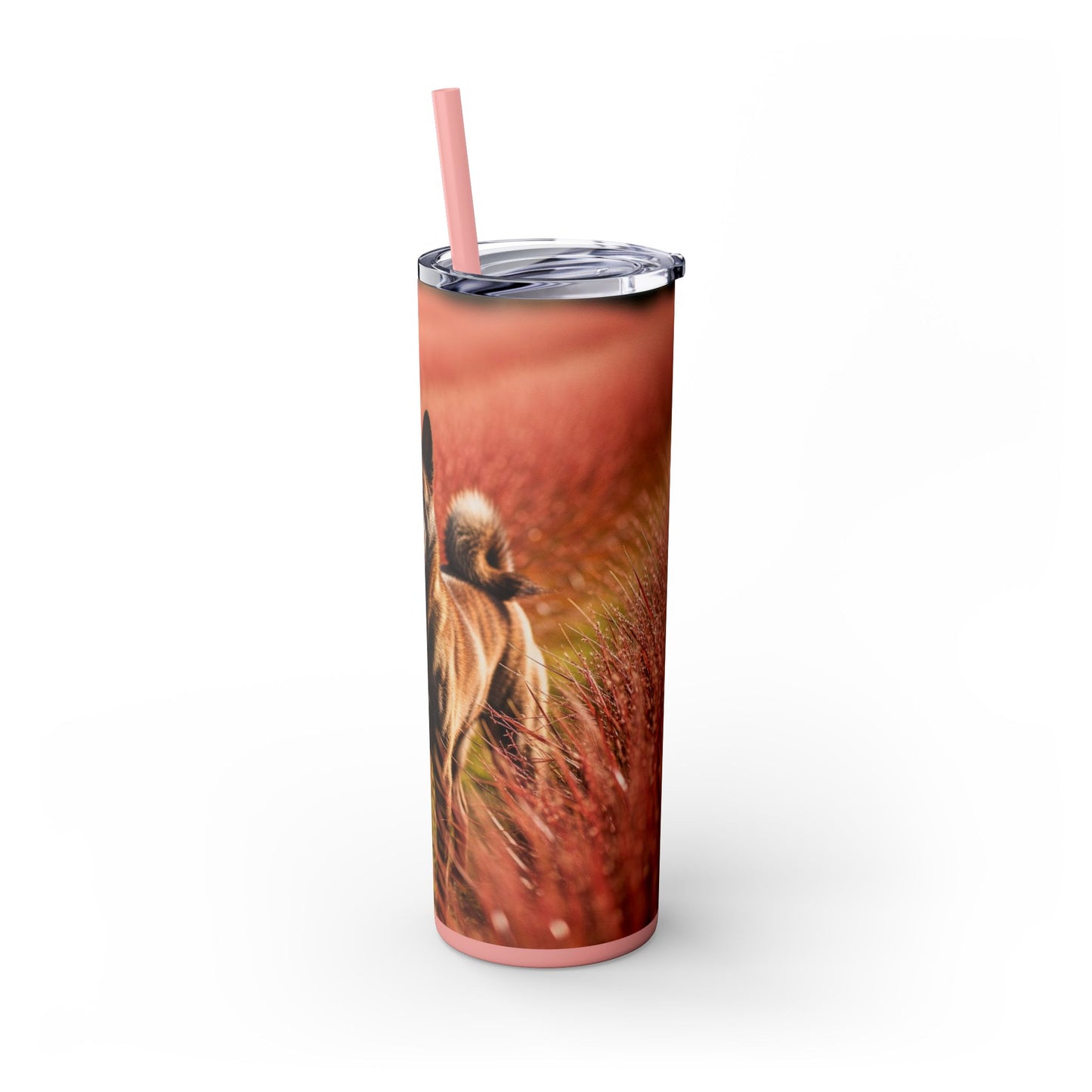 Kai Ken Tumbler with Straw, 20oz