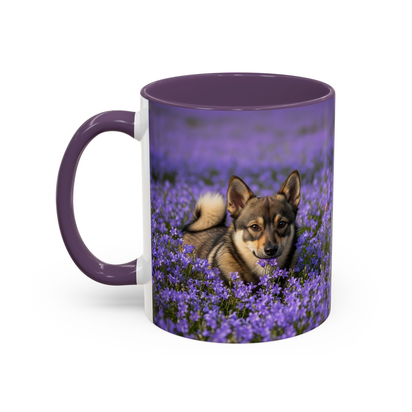 Swedish Vallhund Accent Coffee Mug - Perfect Gift for Dog Lovers