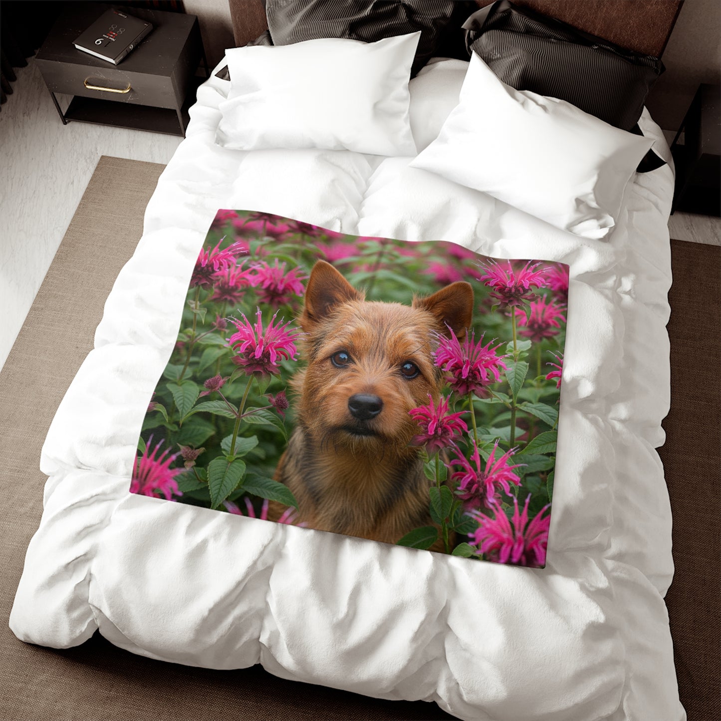 Norwich Terrier Sweatshirt Blanket