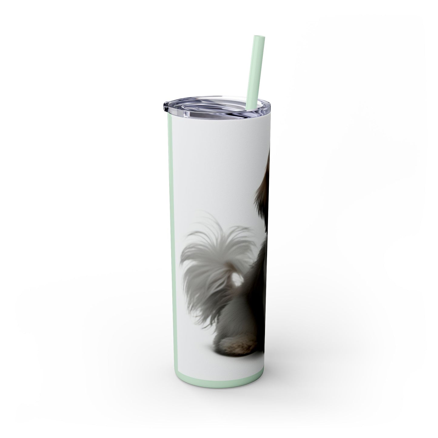 Shihchon Tumbler with Straw, 20oz