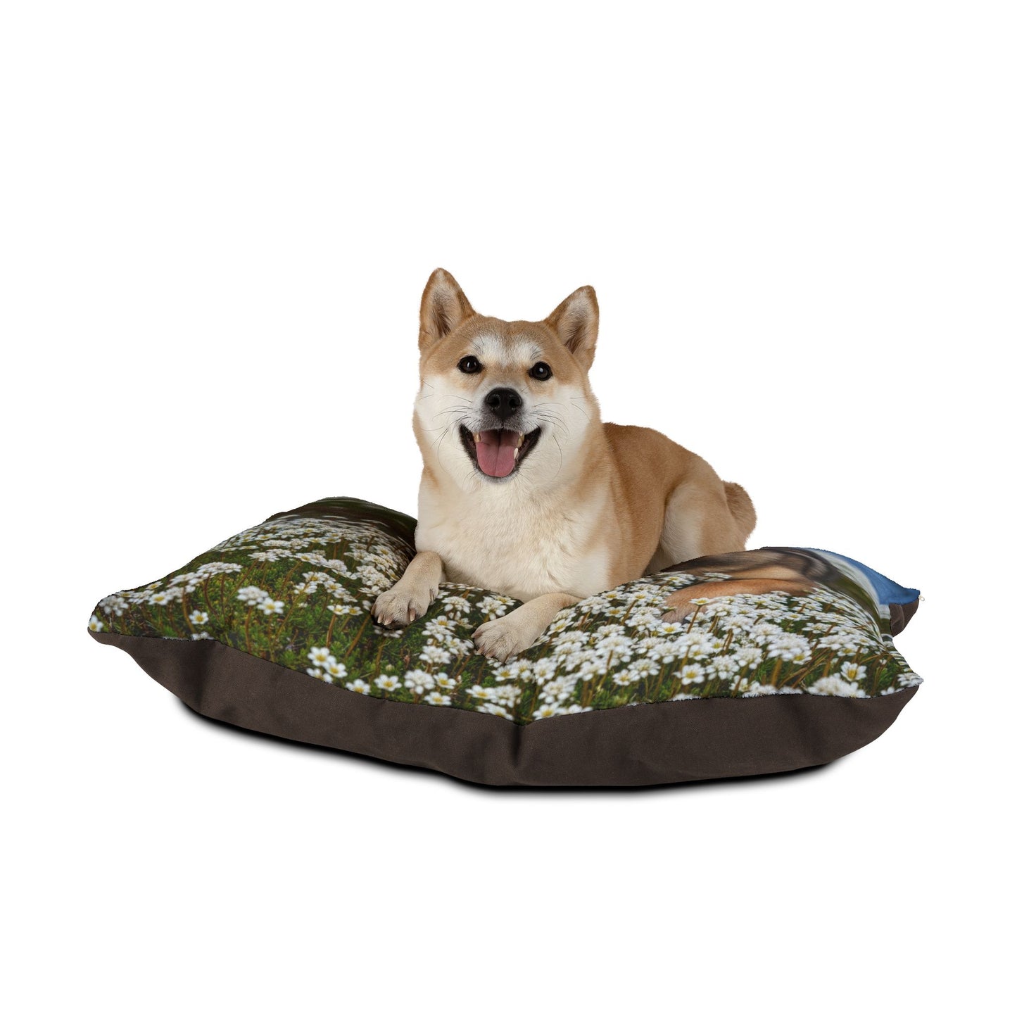 Norwegian Lundehund Pet Bed
