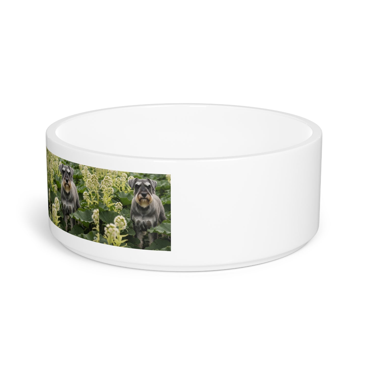 Standard Schnauzer Pet Bowl