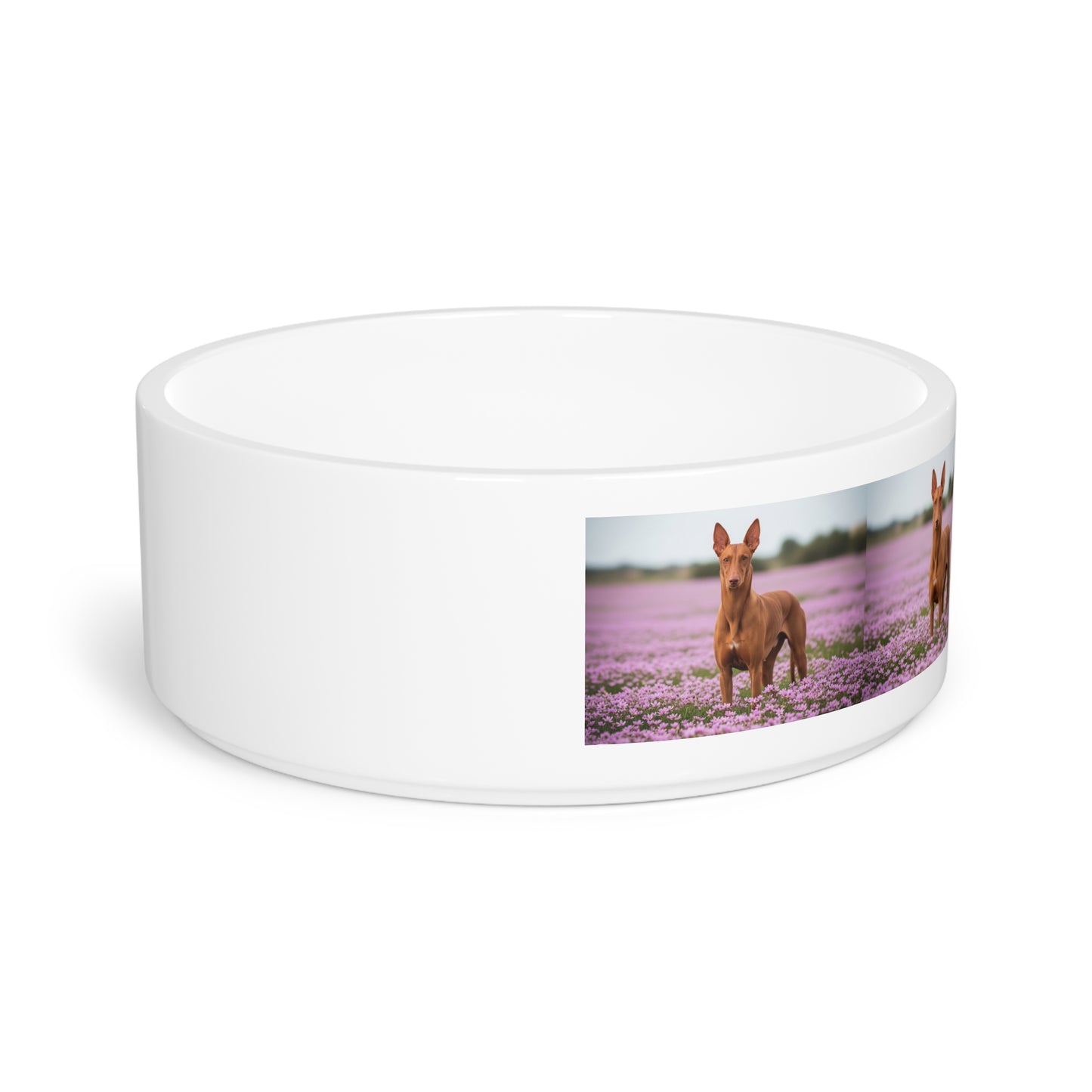 Pharaoh Hound Pet Bowl