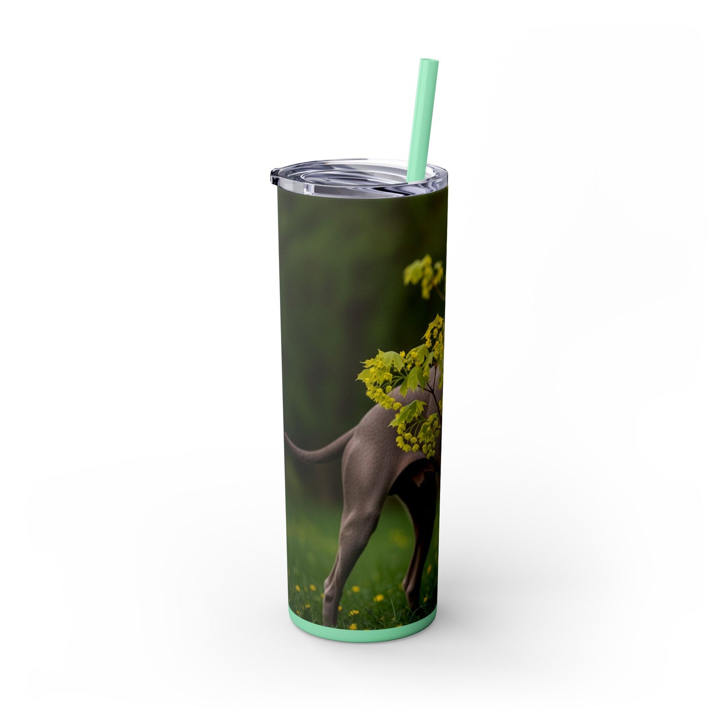 Weimaraner Skinny Tumbler with Straw, 20oz