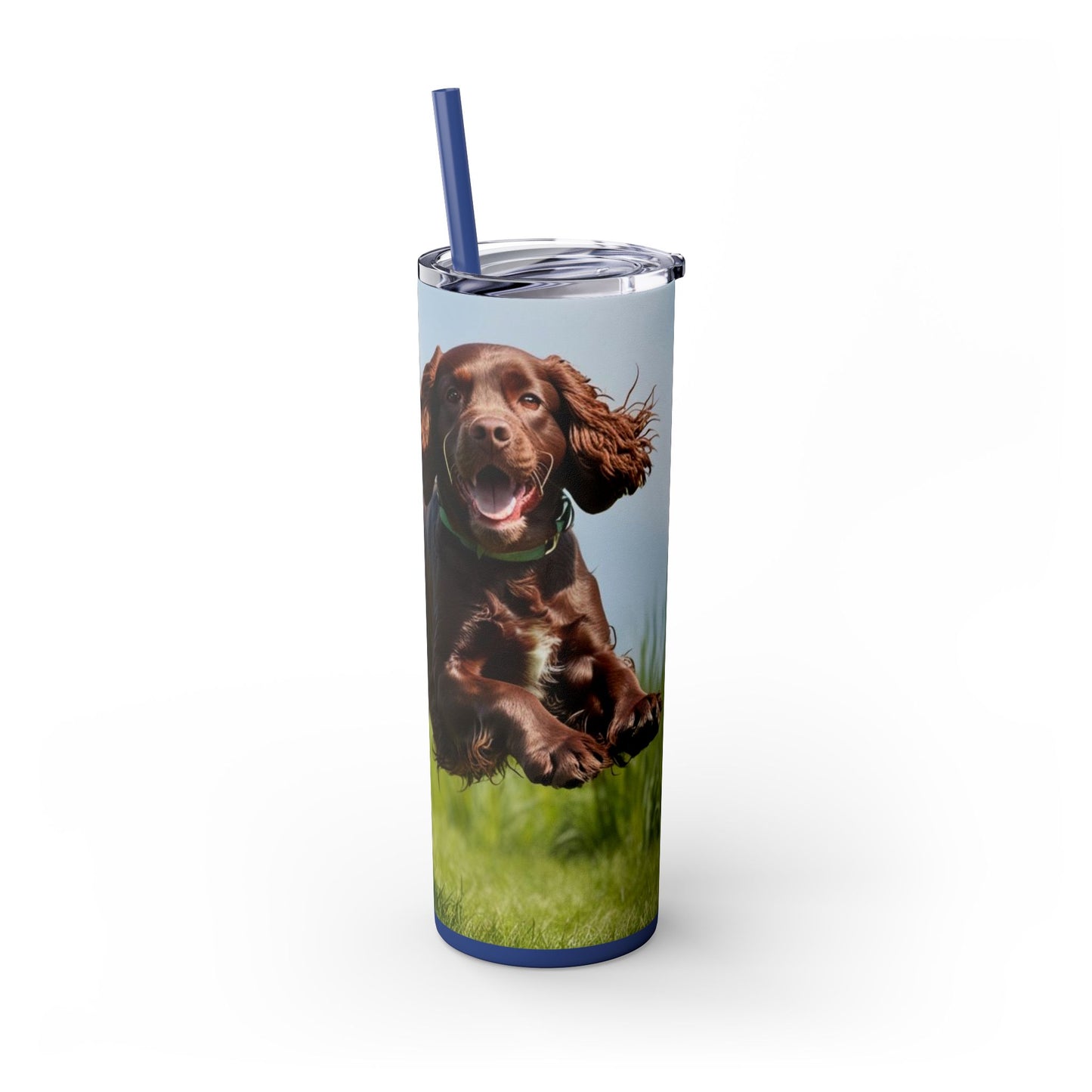 Irish Water Spaniel Tumbler with Straw, 20oz