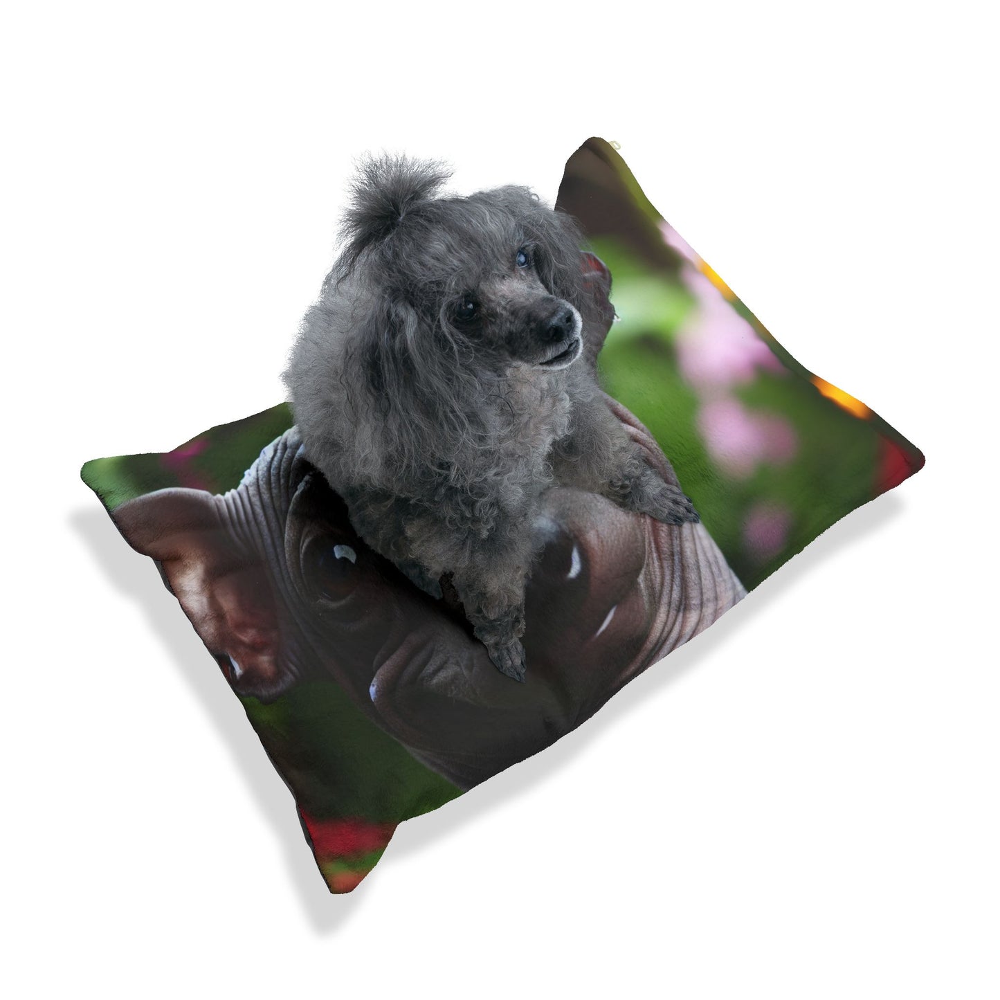 Peruvian Hairless Dog Pet Bed