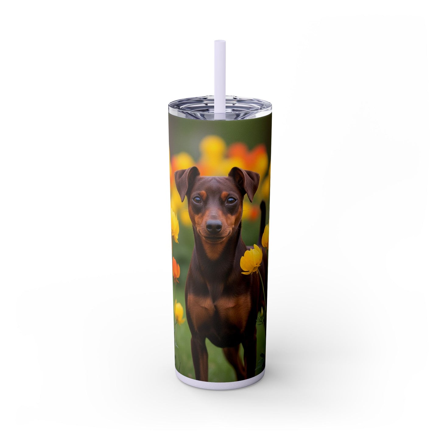 Miniature Pinscher Skinny Tumbler with Straw, 20oz