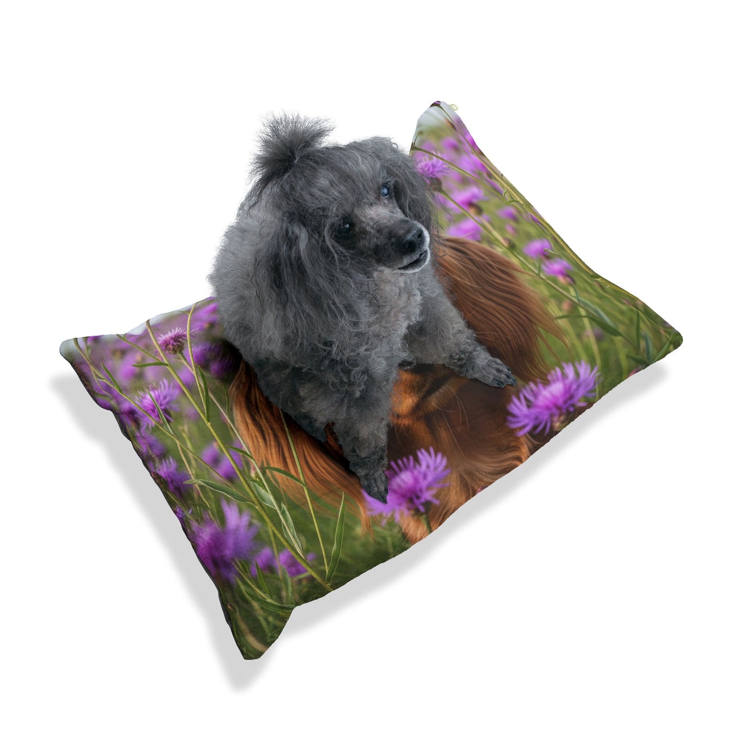 English Toy Spaniel Pet Bed