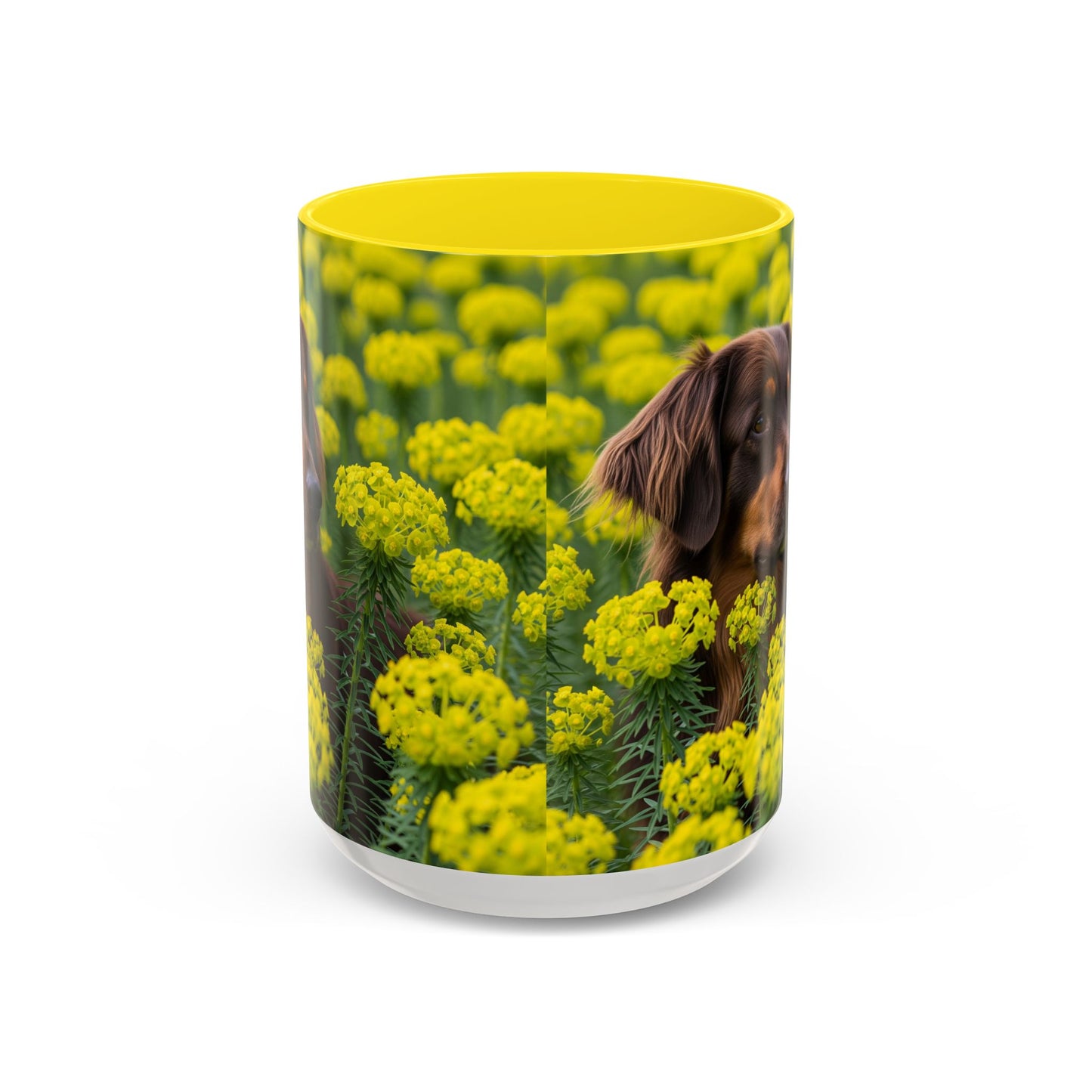 Hovawart Accent Coffee Mug - Perfect Gift for Dog Lovers