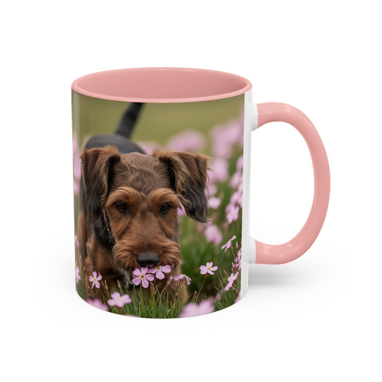 Cesky Terrier Accent Coffee Mug - Perfect Gift for Dog Lovers