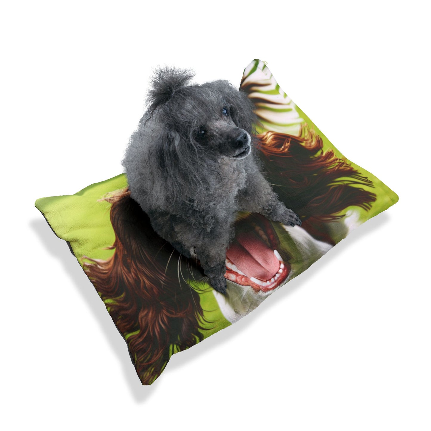 English Springer Spaniel Pet Bed