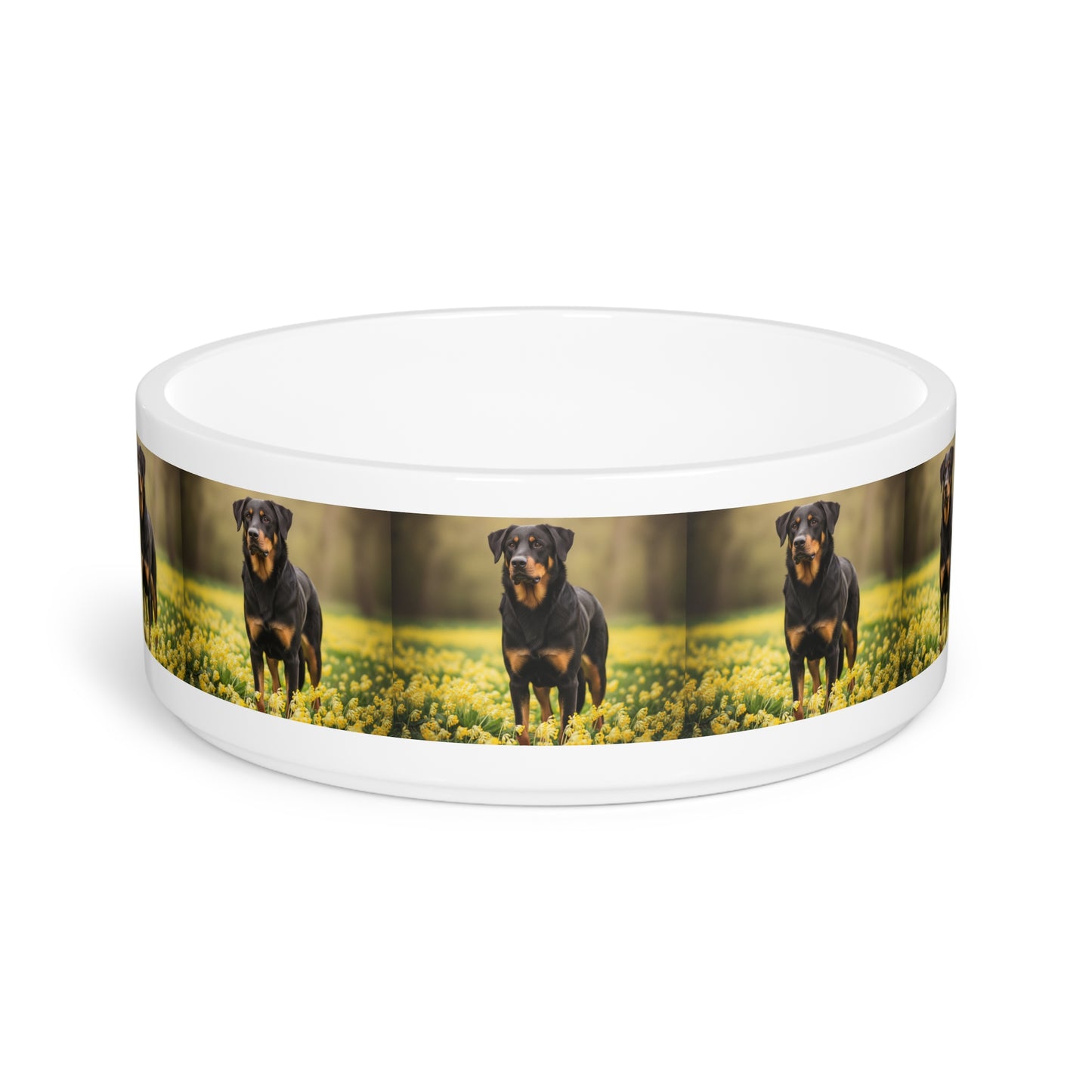 Beauceron Pet Bowl