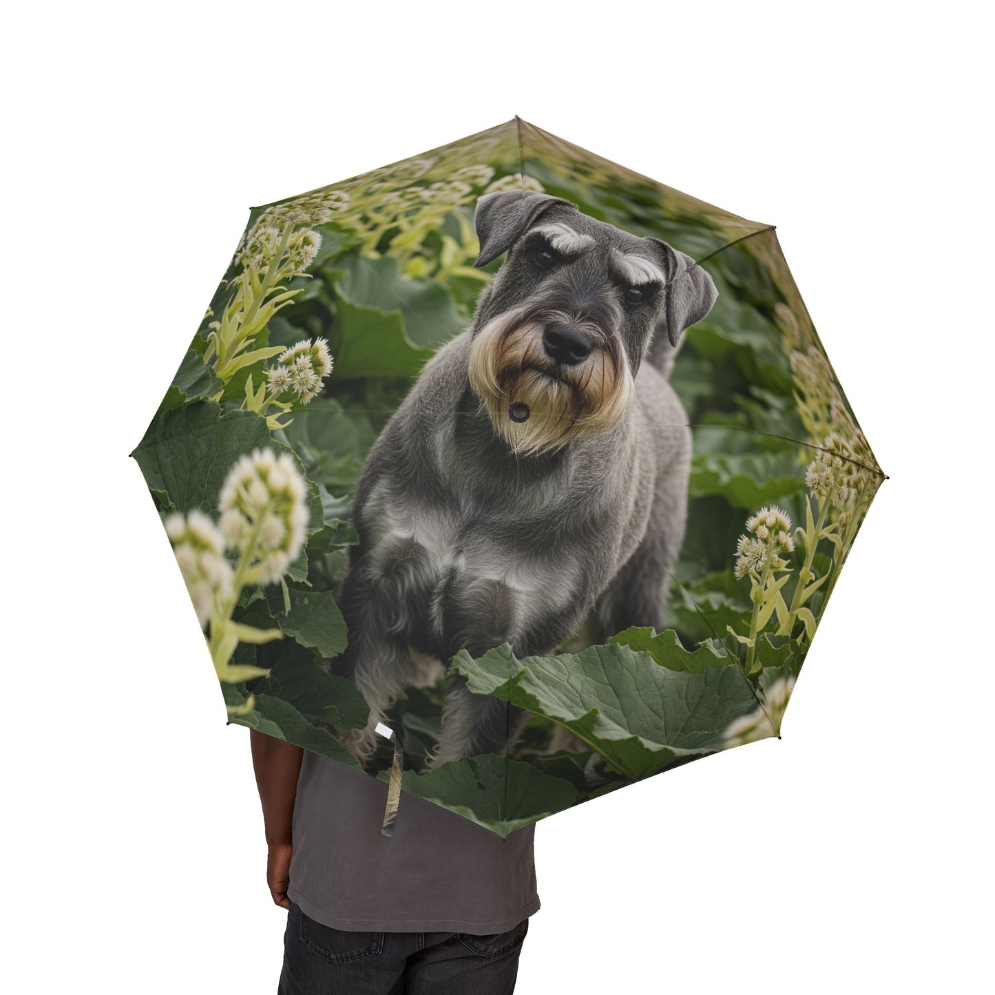 Standard Schnauzer Semi-Automatic Foldable Umbrella