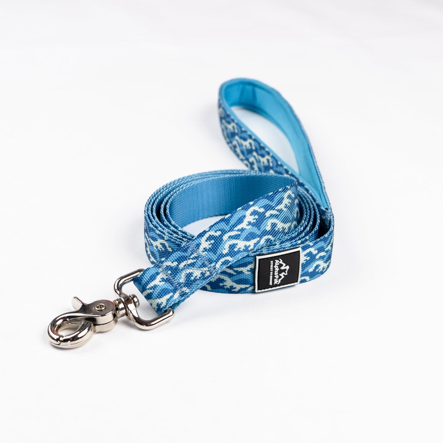 Laisse plate classique pour chien