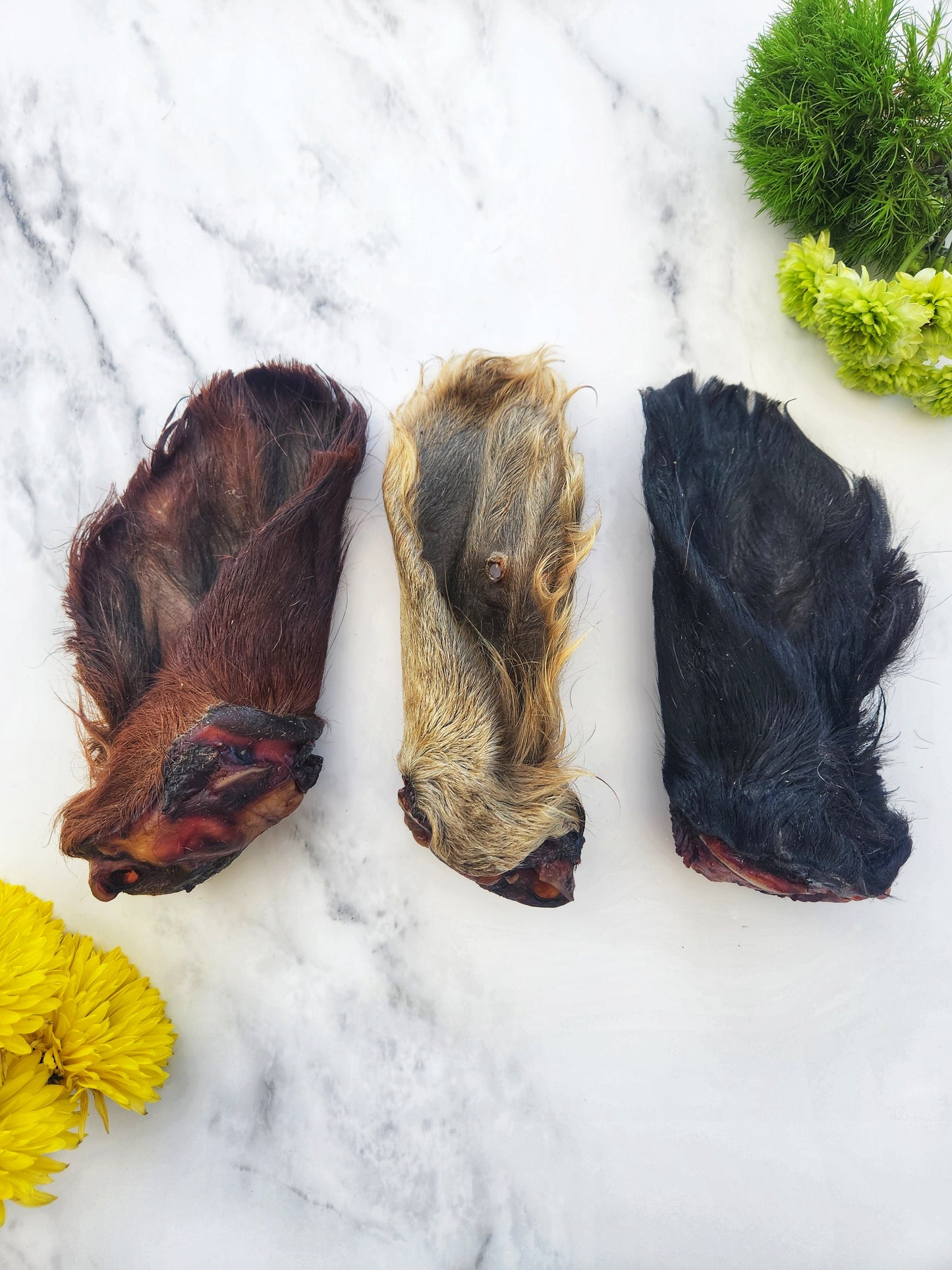 Oreilles de bœuf déshydratées avec poils pour chats et chiens — 100% naturelles | Raw Instincts Florida