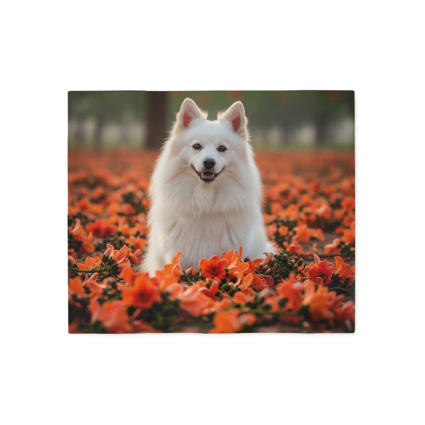 Indian Spitz Sweatshirt Blanket