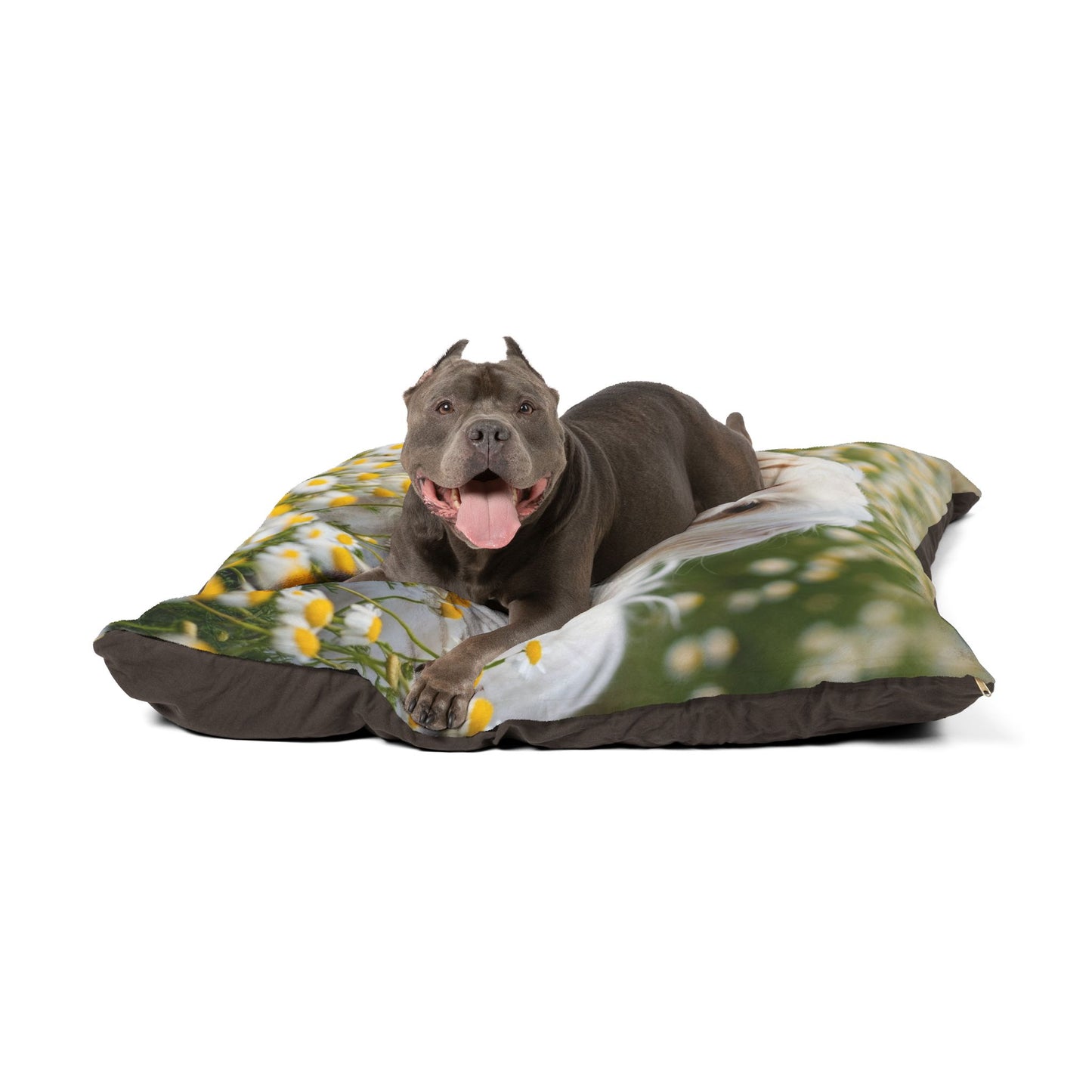 Havamalt Pet Bed