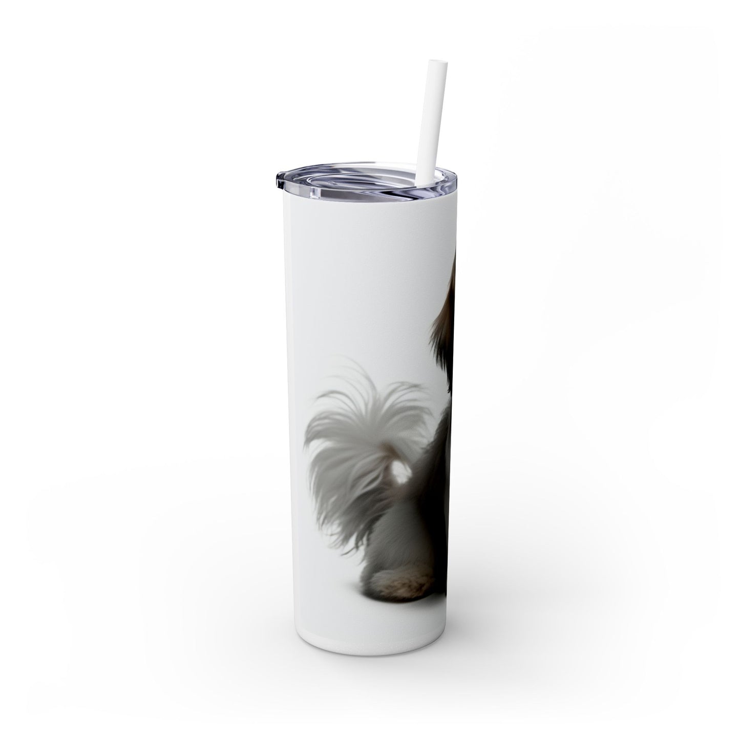 Shihchon Tumbler with Straw, 20oz