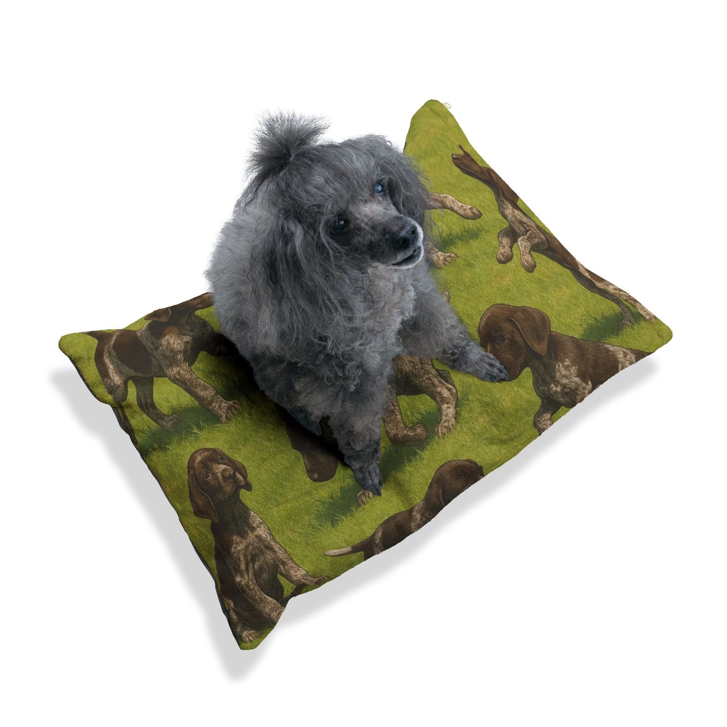 German Shorthaired Pointer puppies Pet Bed