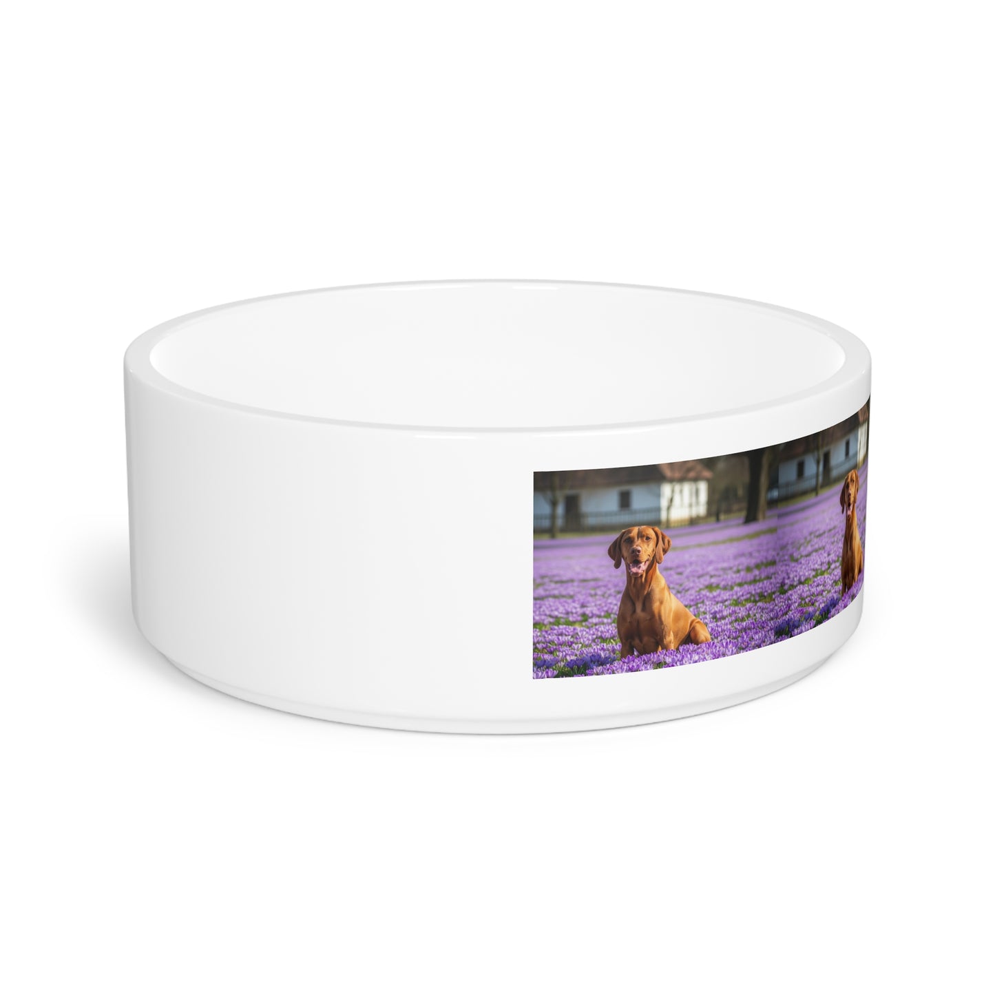 Vizsla Pet Bowl