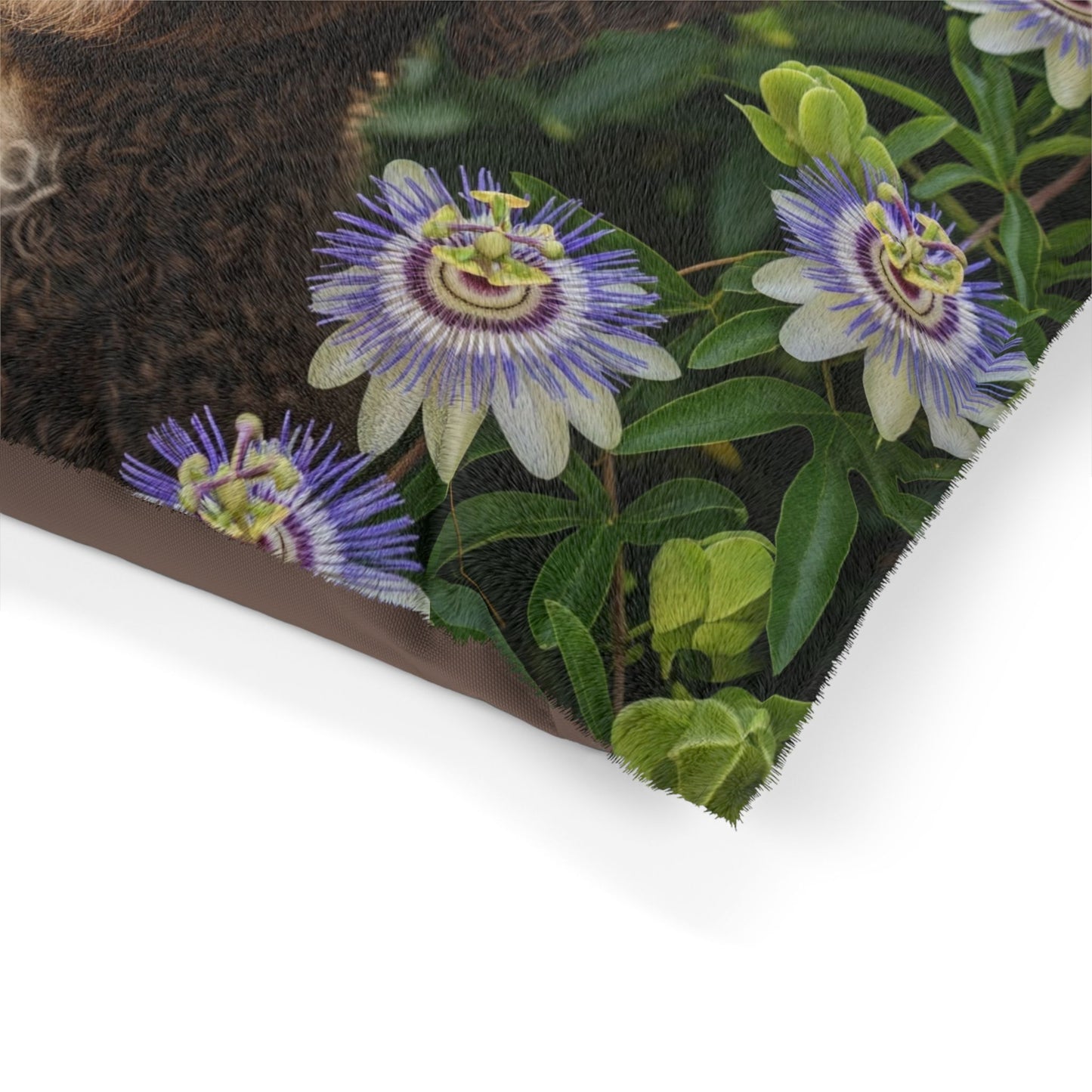 Spanish Water Dog Pet Bed