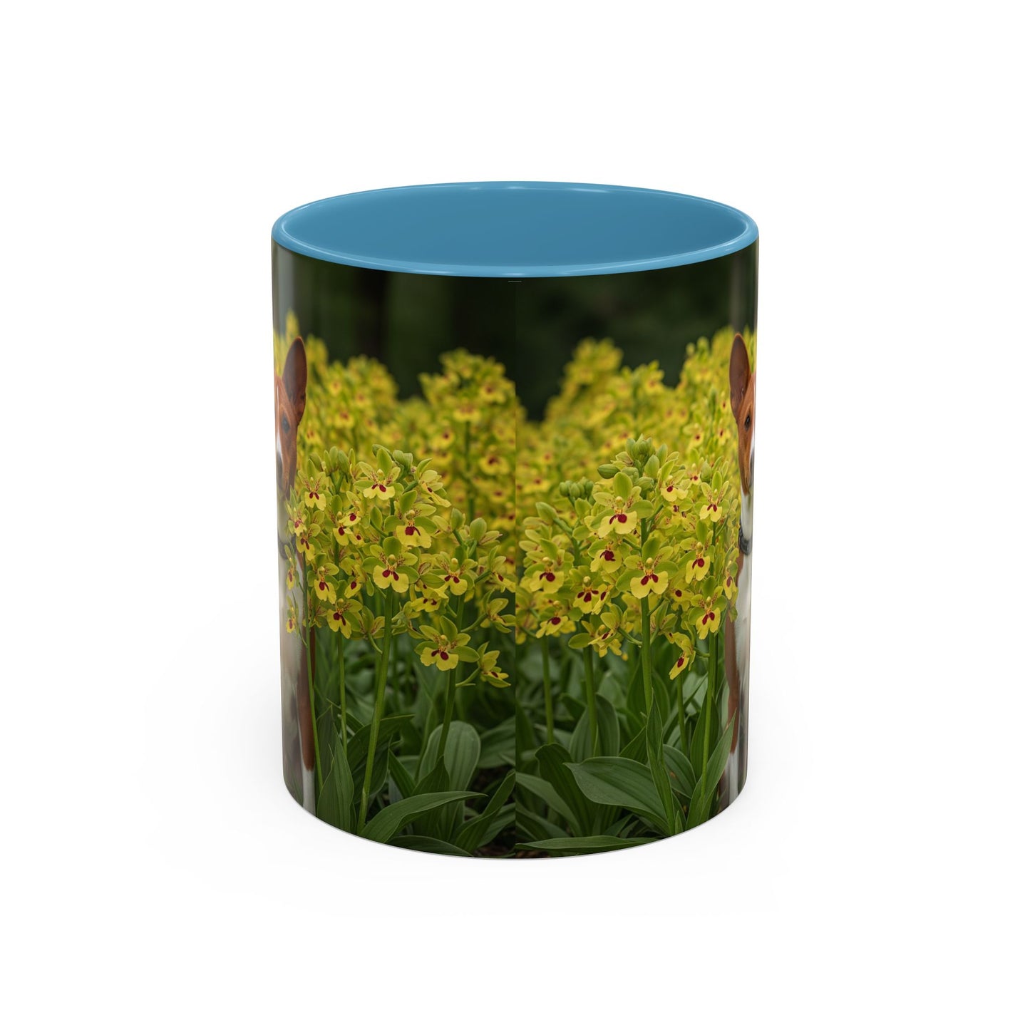 Basenji Accent Coffee Mug - Perfect Gift for Dog Lovers