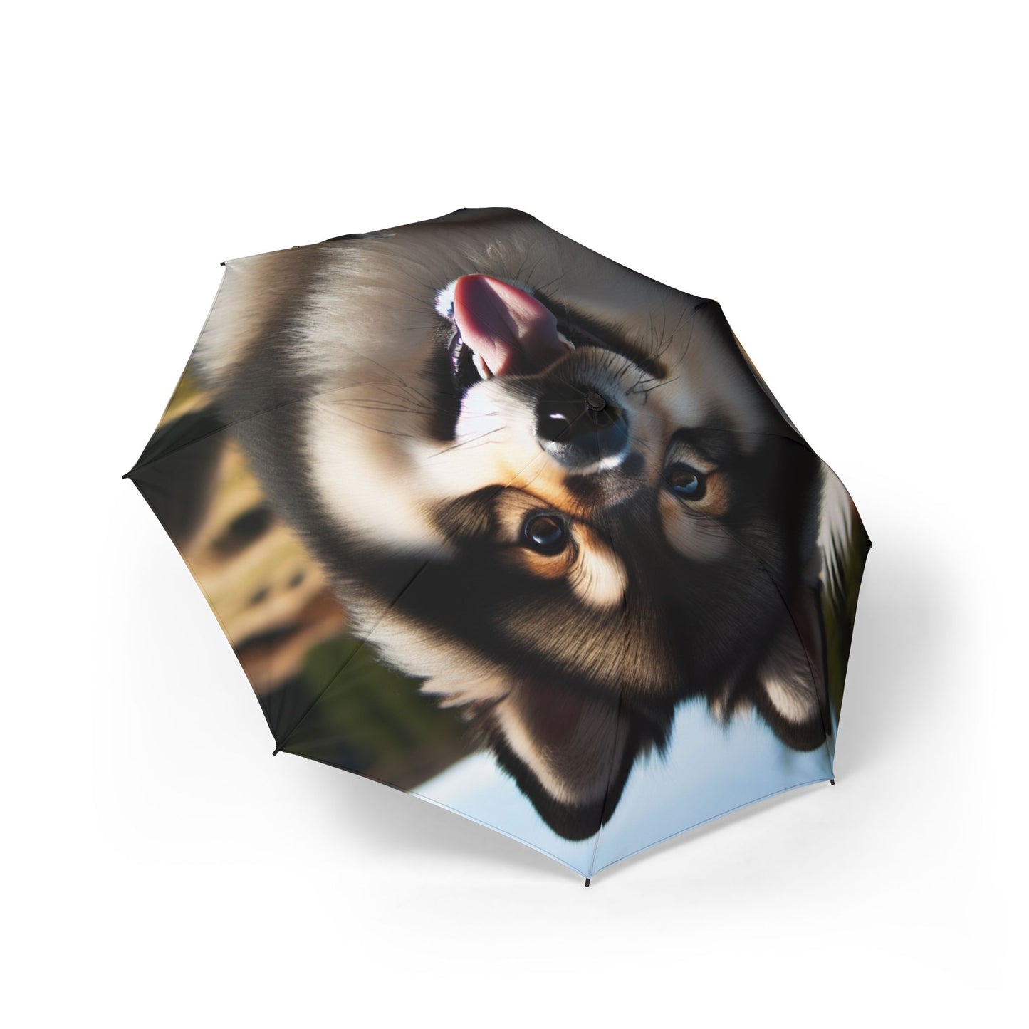 Norwegian Buhund Semi-Automatic Foldable Umbrella