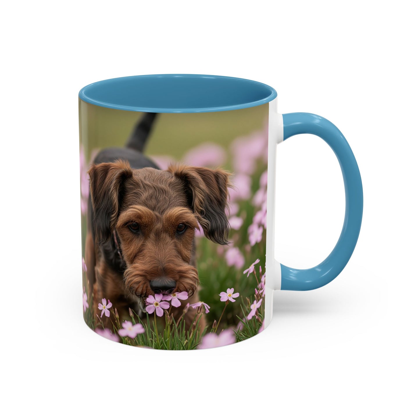 Cesky Terrier Accent Coffee Mug - Perfect Gift for Dog Lovers
