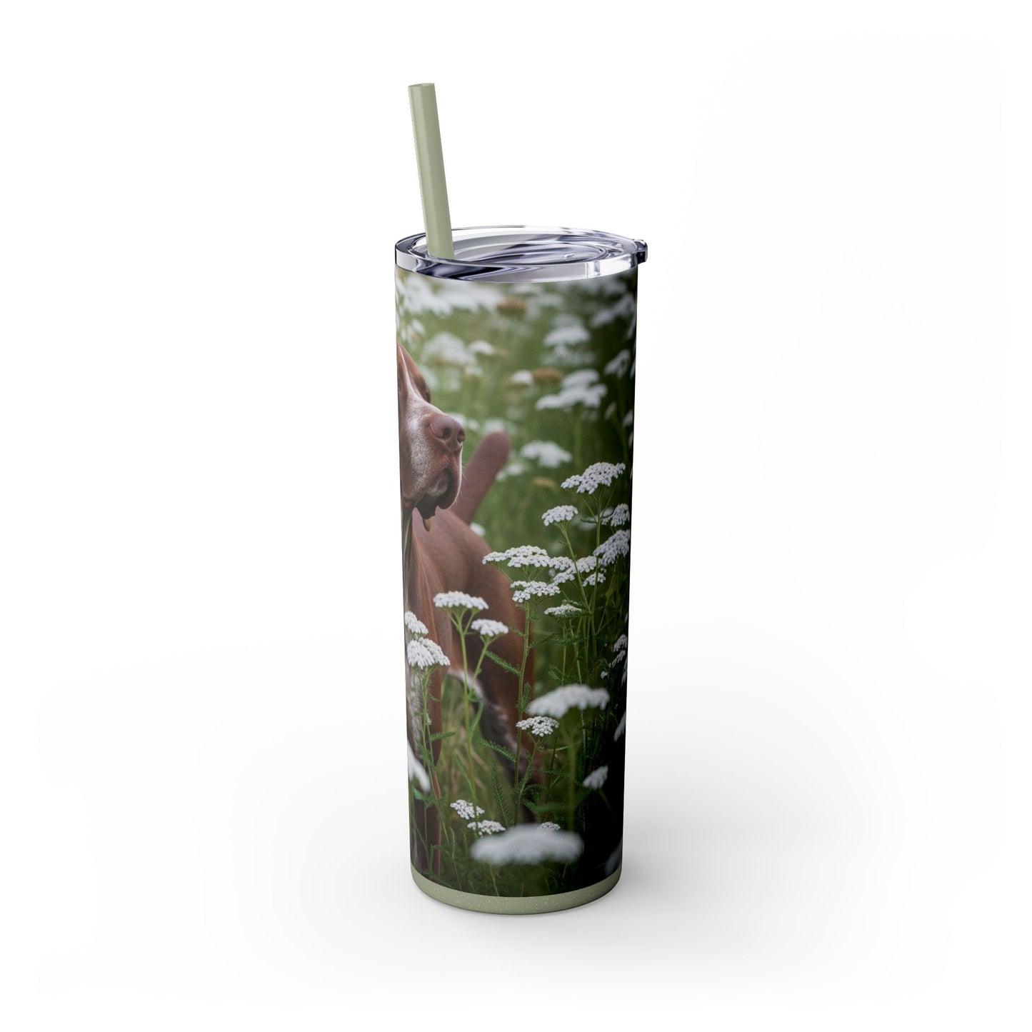 Braque du Bourbonnais Tumbler with Straw, 20oz