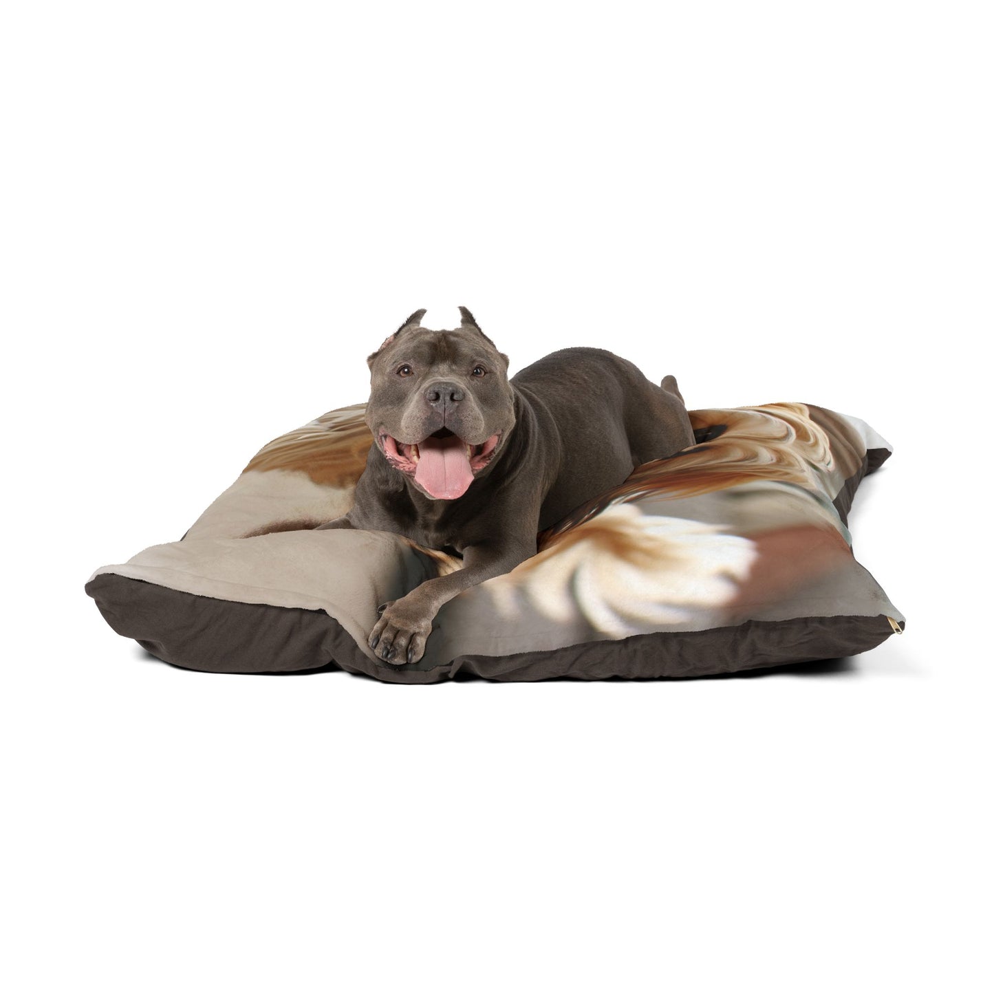 Morkie Pet Bed