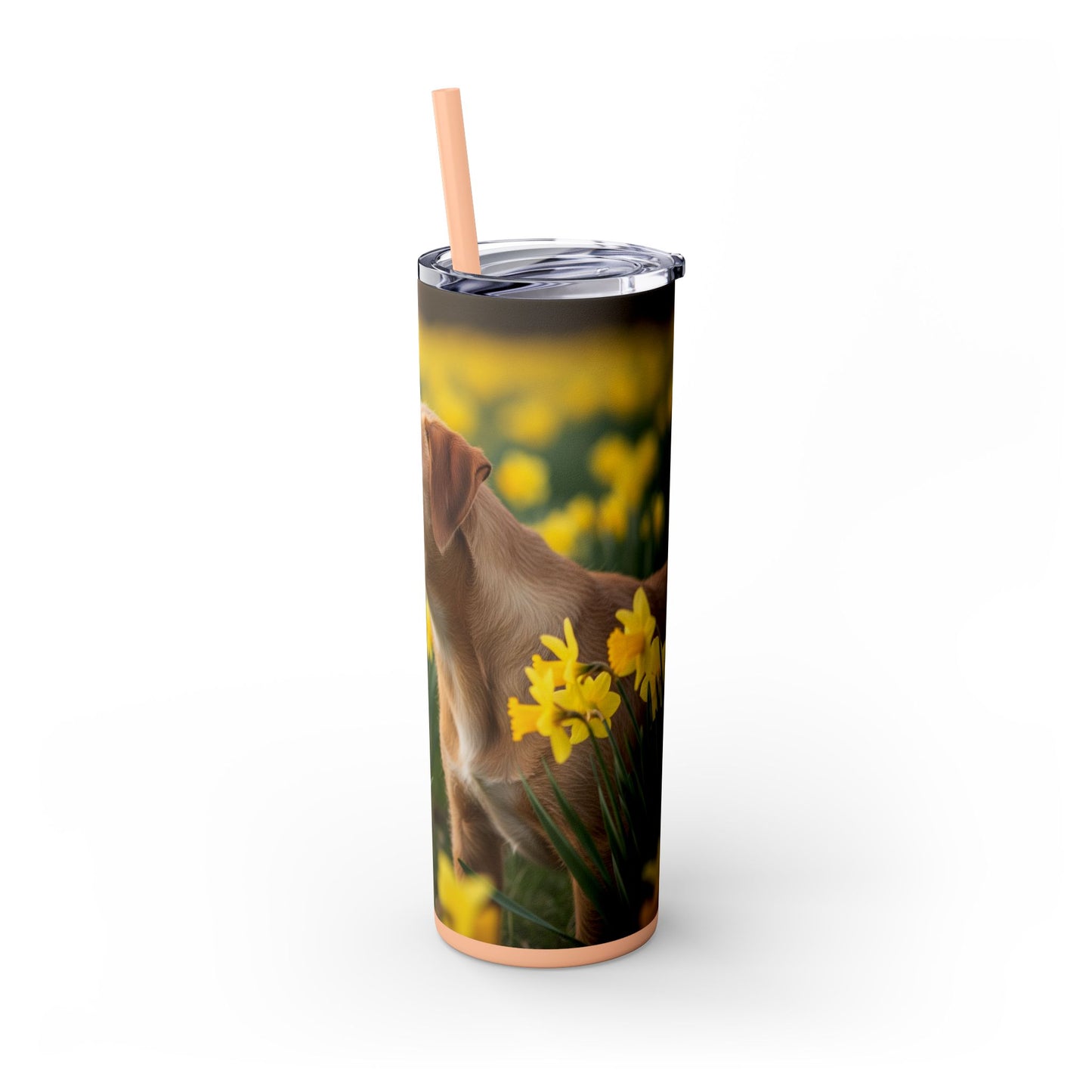 Portuguese Podengo Pequeno Skinny Tumbler with Straw, 20oz