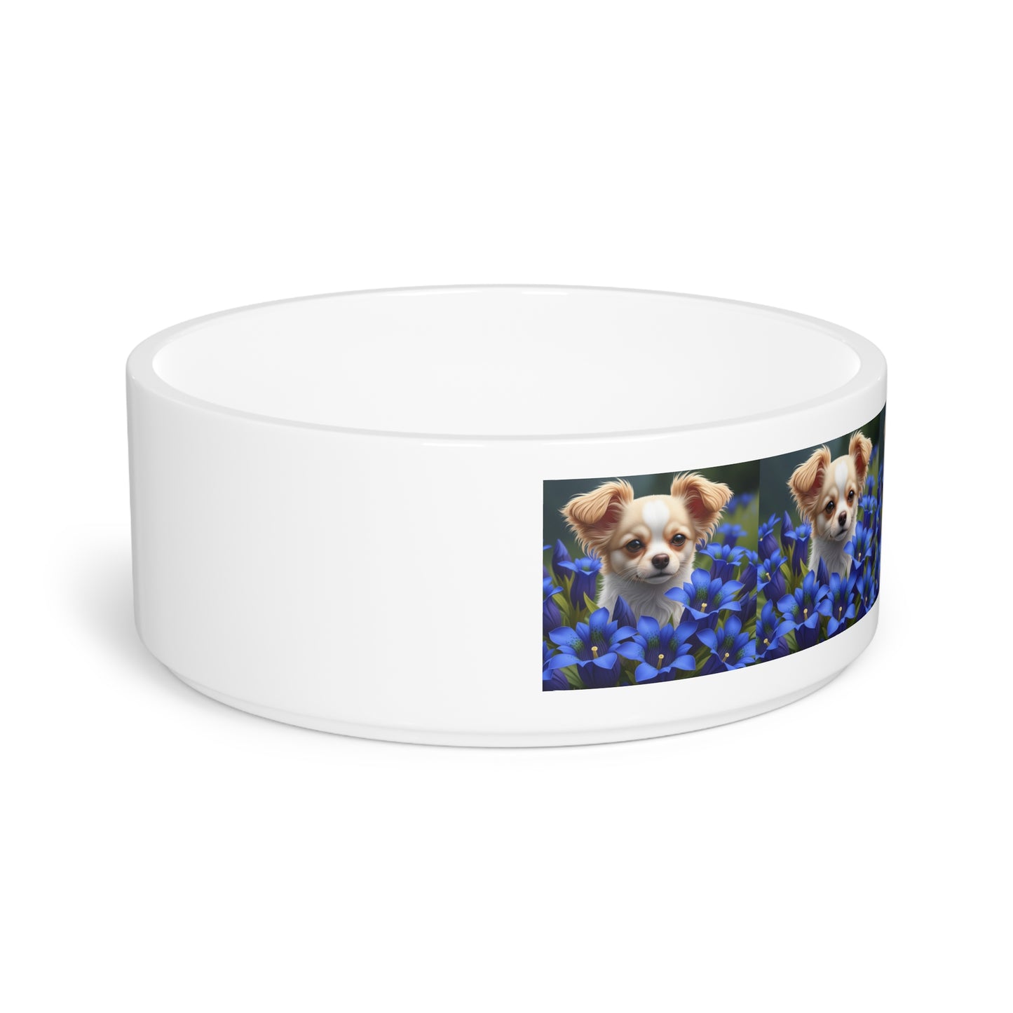 Toi Leo Pet Bowl