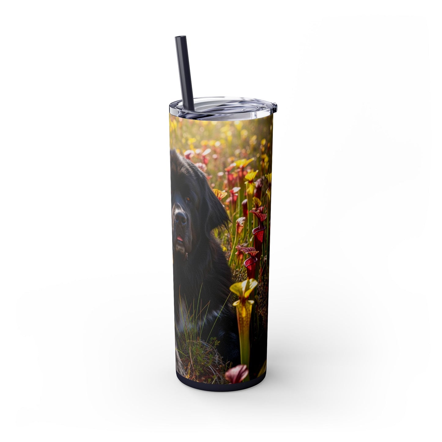 Newfoundland Skinny Tumbler with Straw, 20oz