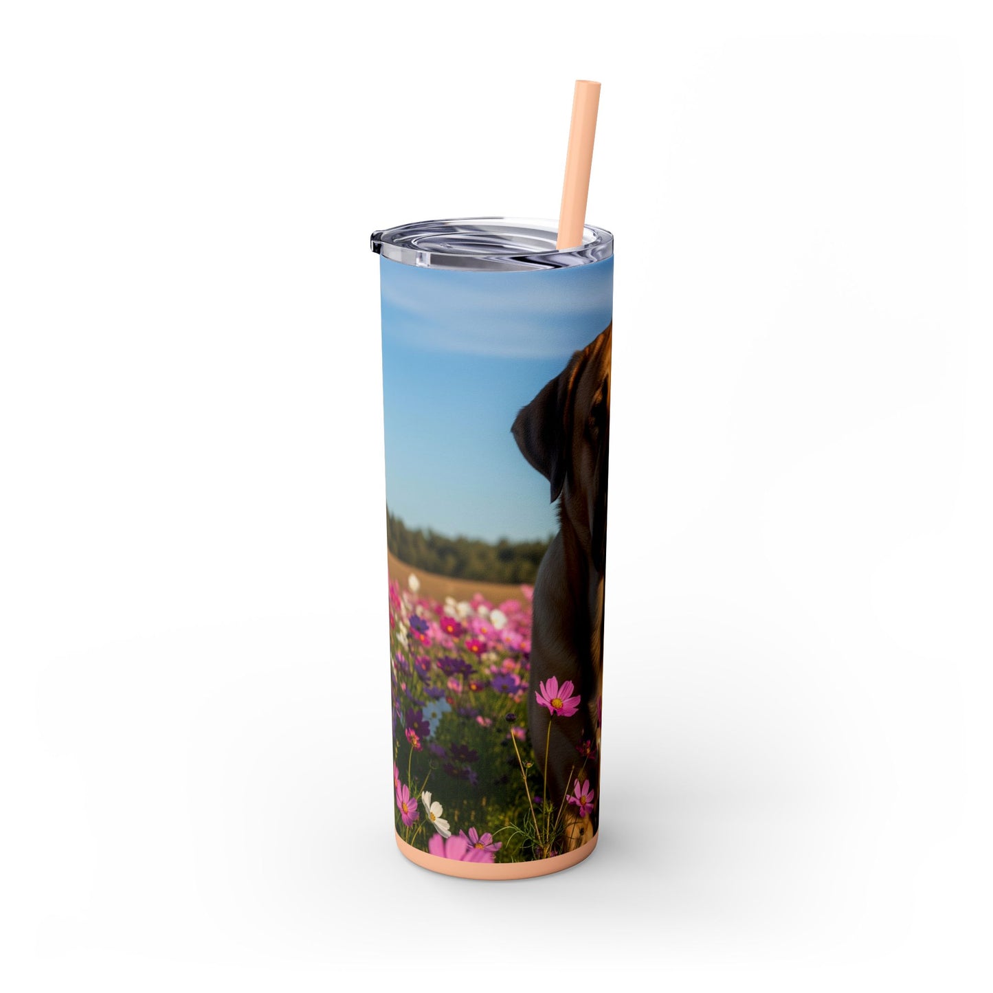 Spanish Mastiff Skinny Tumbler with Straw, 20oz