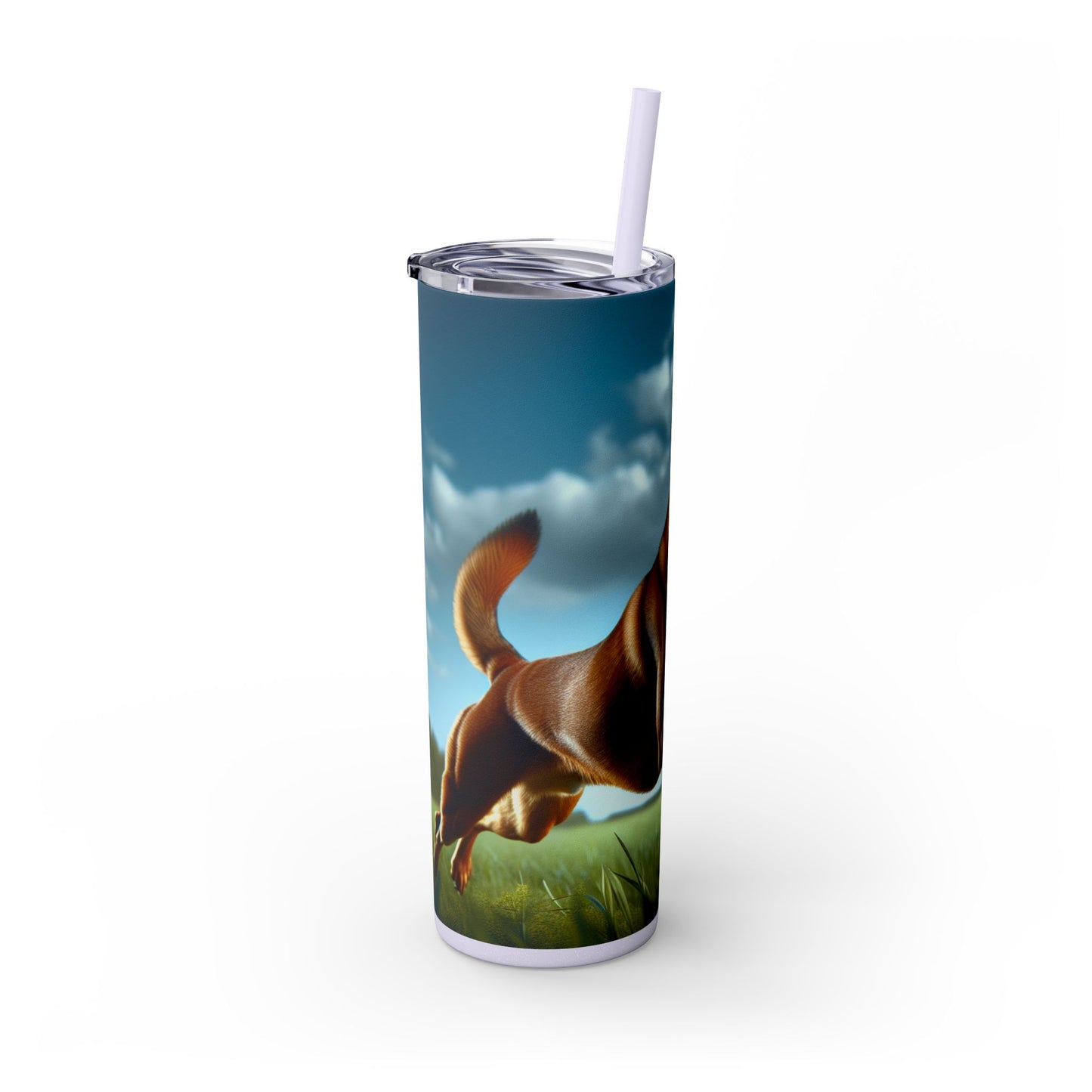 Kanni Tumbler with Straw, 20oz