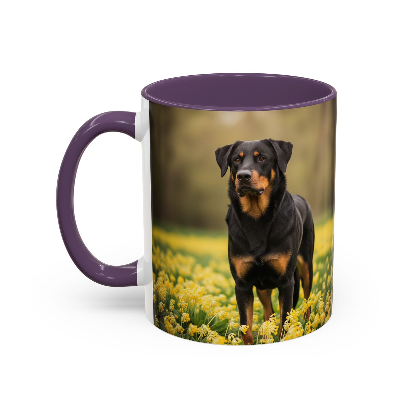 Beauceron Accent Coffee Mug - Perfect Gift for Dog Lovers