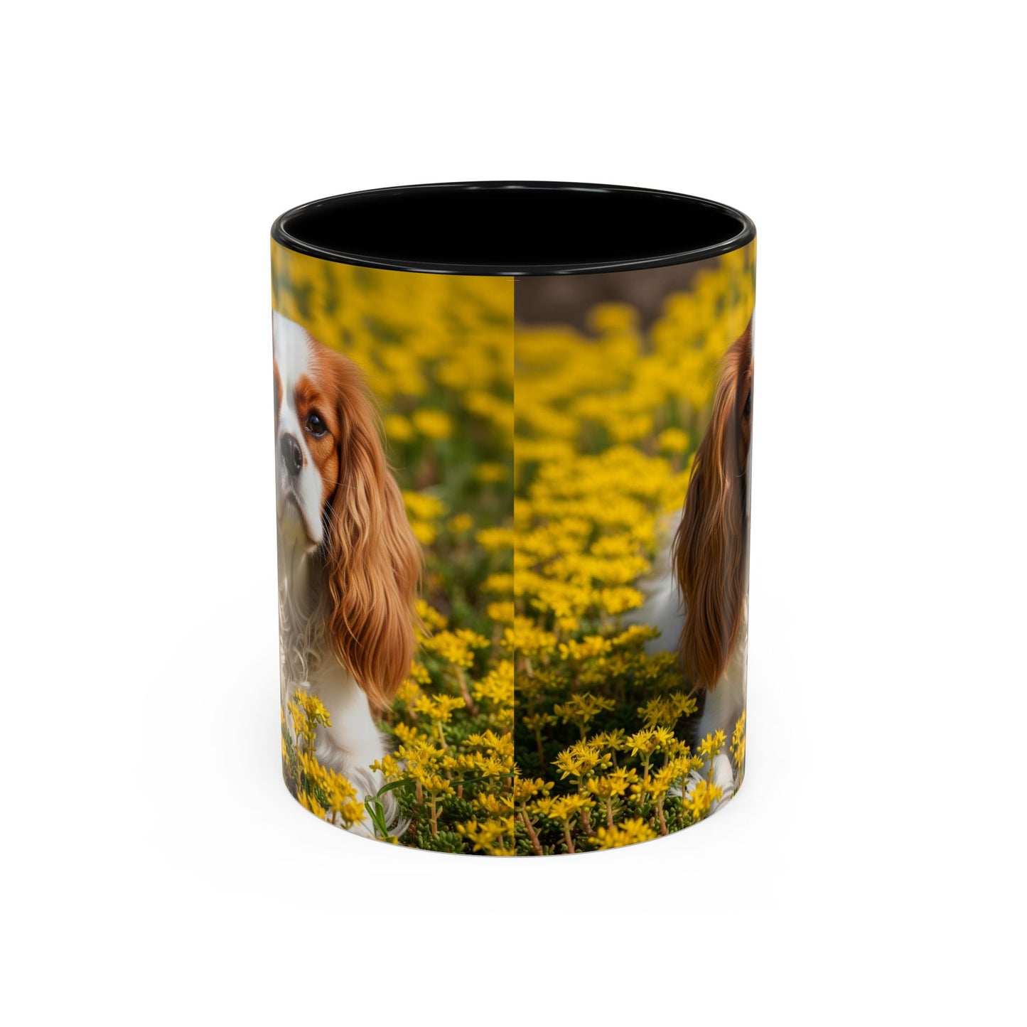 Cavalier King Charles Spaniel Accent Coffee Mug - Perfect Gift for Dog Lovers