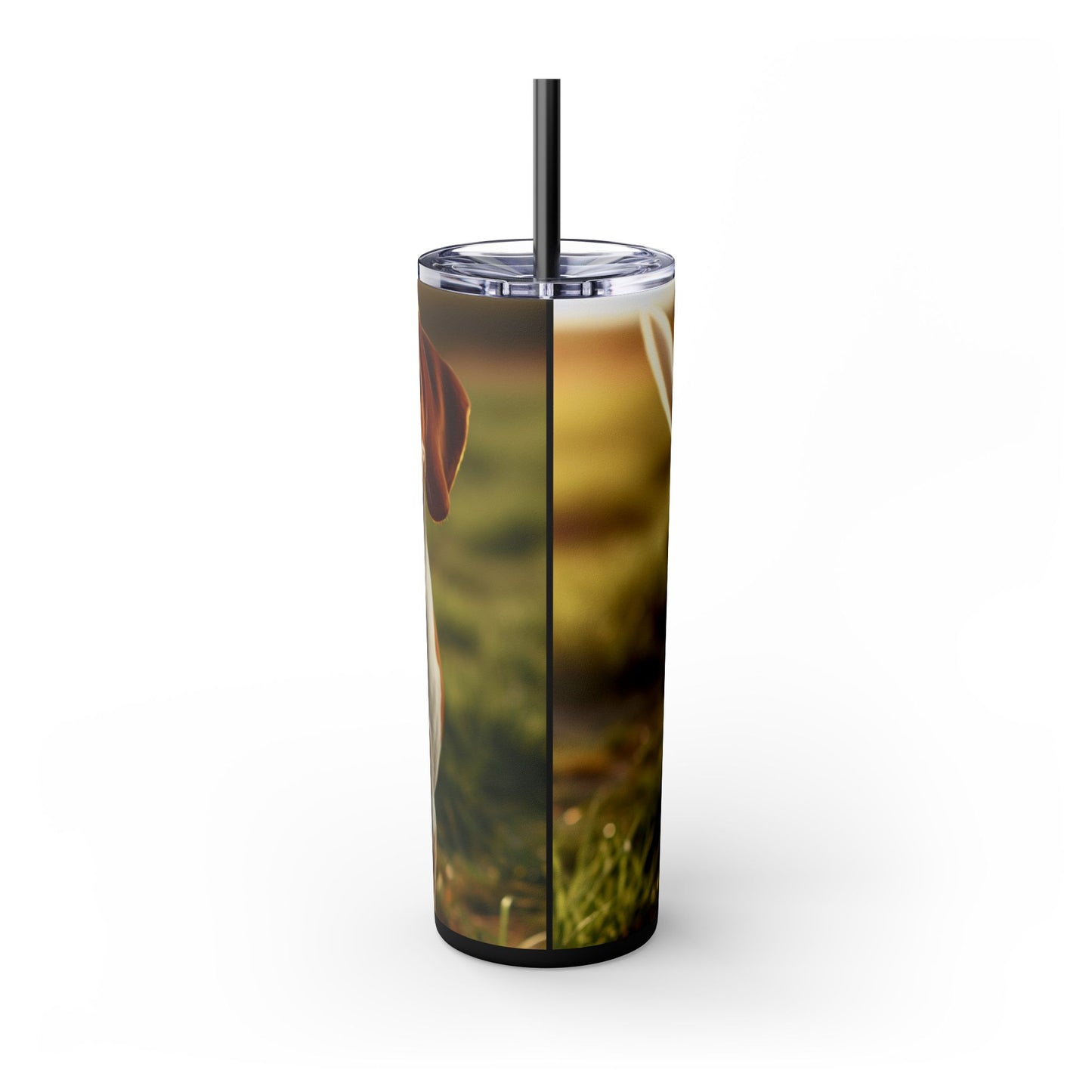 Bracco Italiano Tumbler with Straw, 20oz