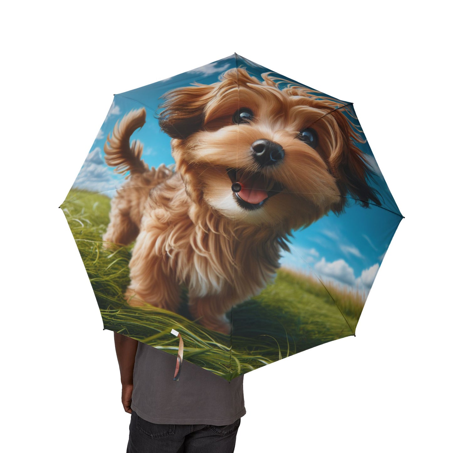 Kaikadi Semi-Automatic Foldable Umbrella