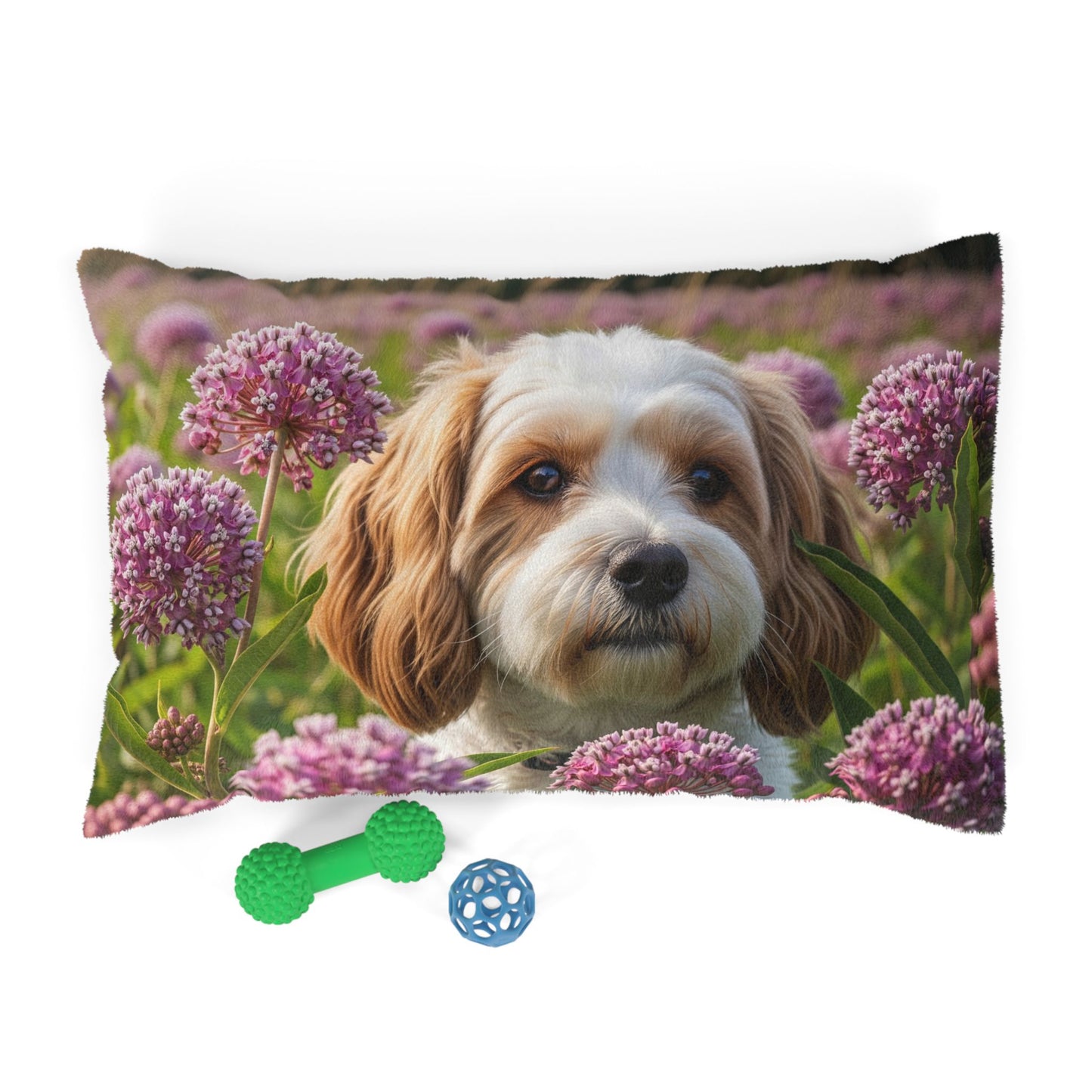 Cavachon Pet Bed