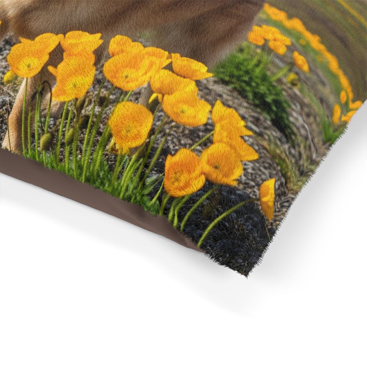 Norwegian Buhund Pet Bed