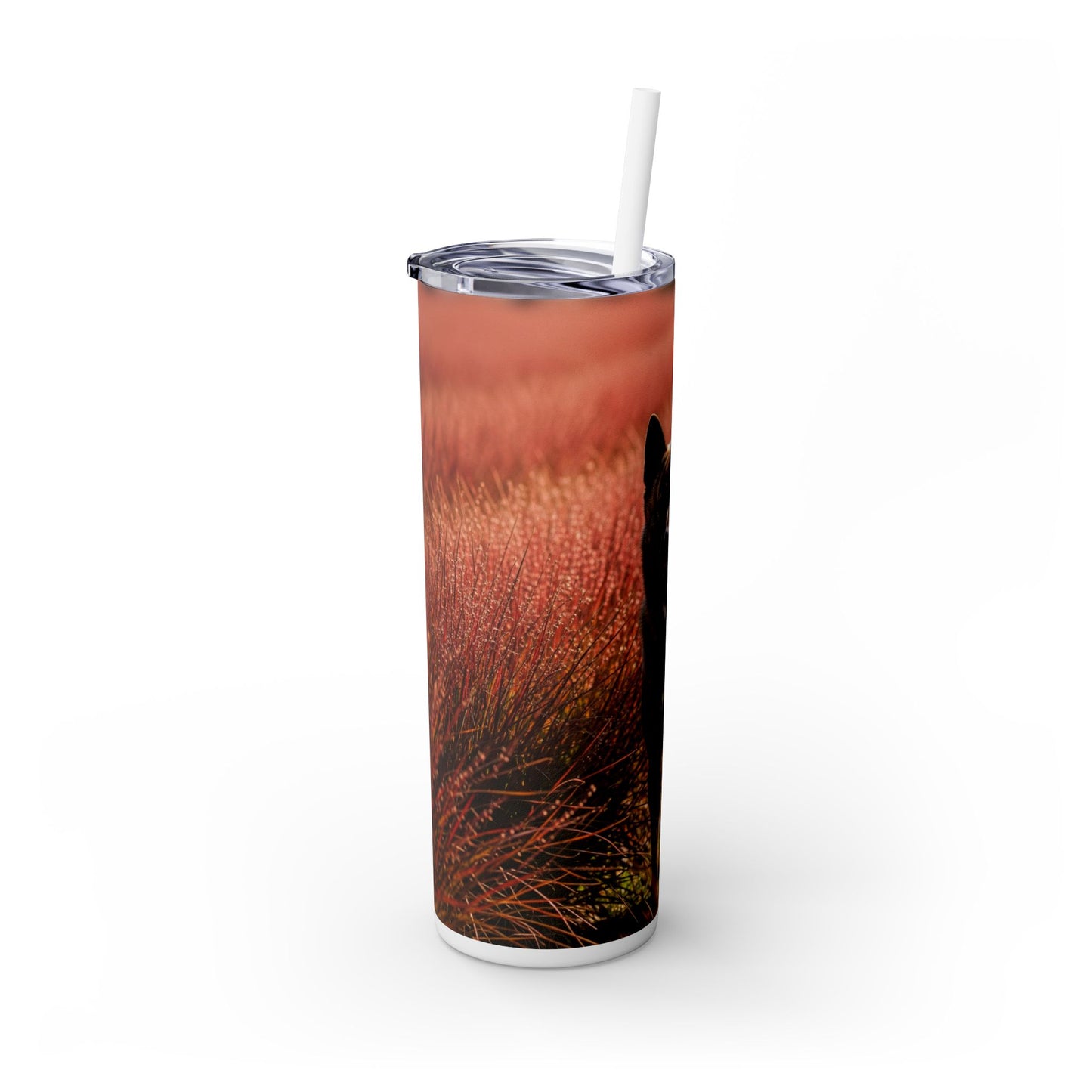Kai Ken Tumbler with Straw, 20oz