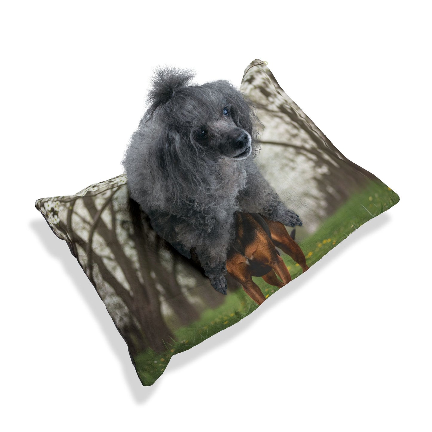 Plott Hound Pet Bed