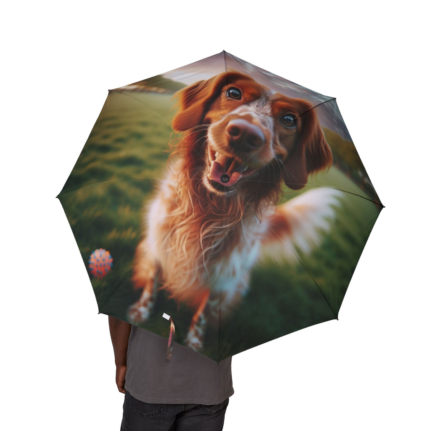 Brittany Dog Semi-Automatic Foldable Umbrella