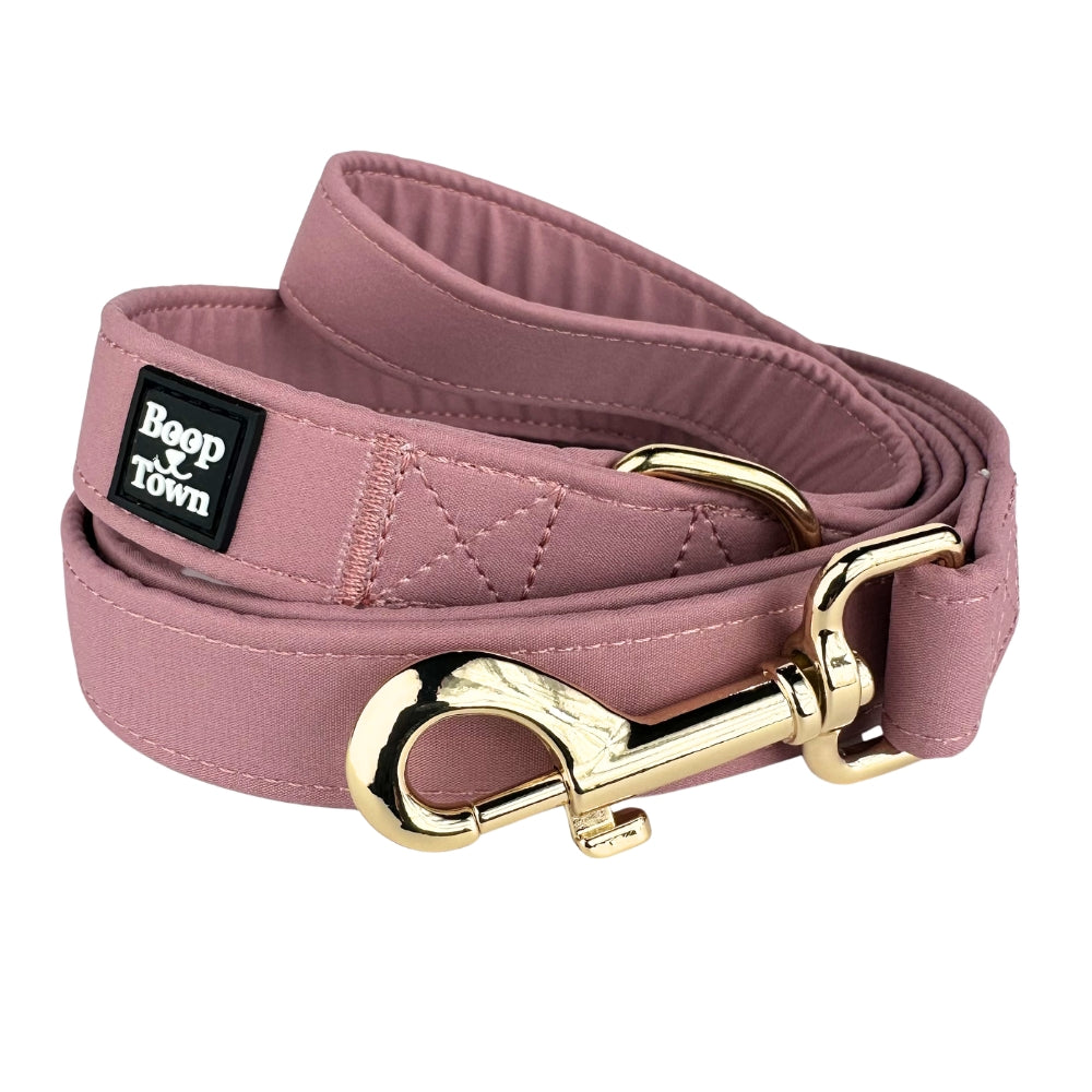 Correas para perros